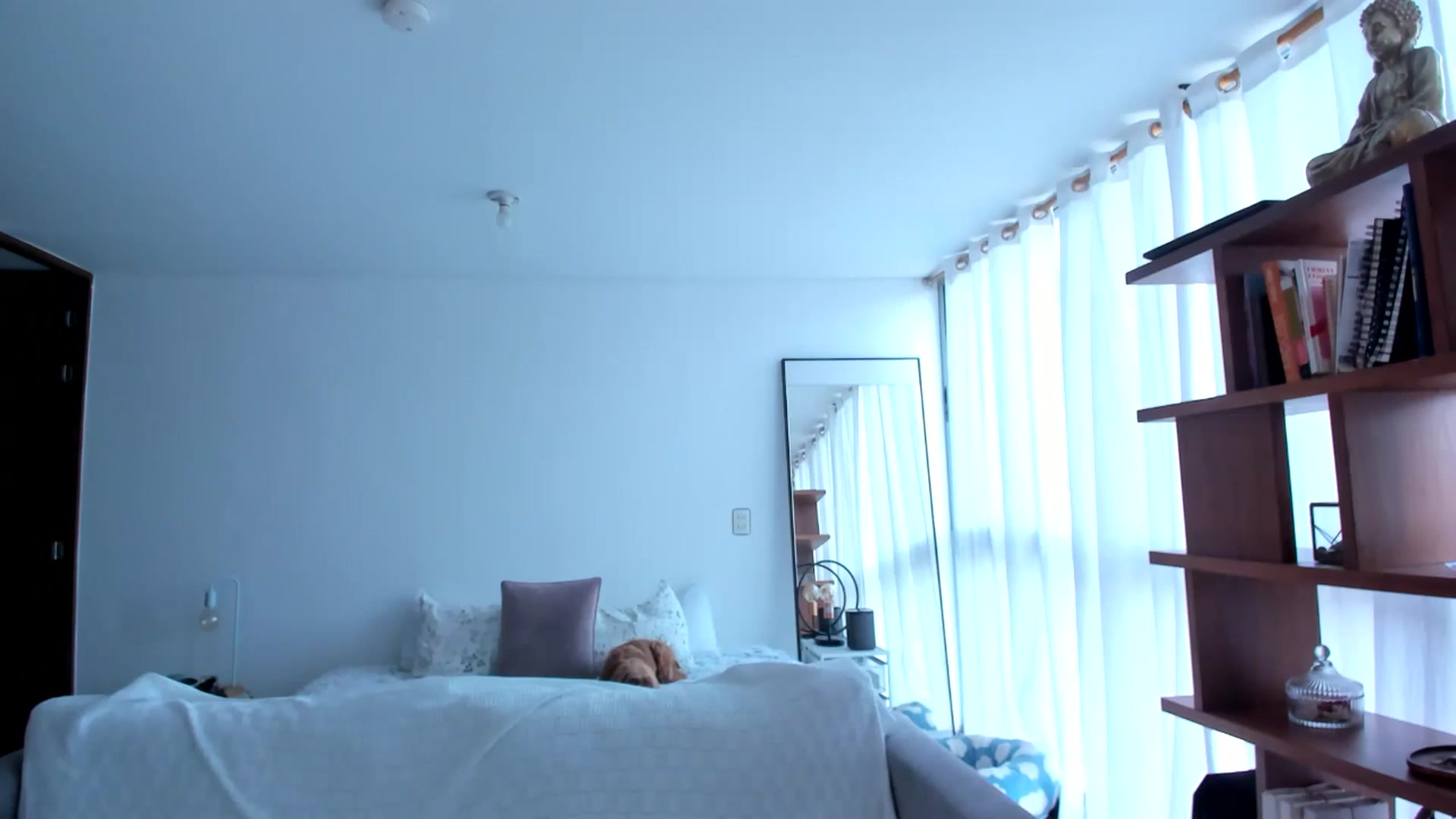 Gallery image thumbnail from TaniaAngel's myfreecams stream on, 03/12/2026, 20:31 image 18 of 20