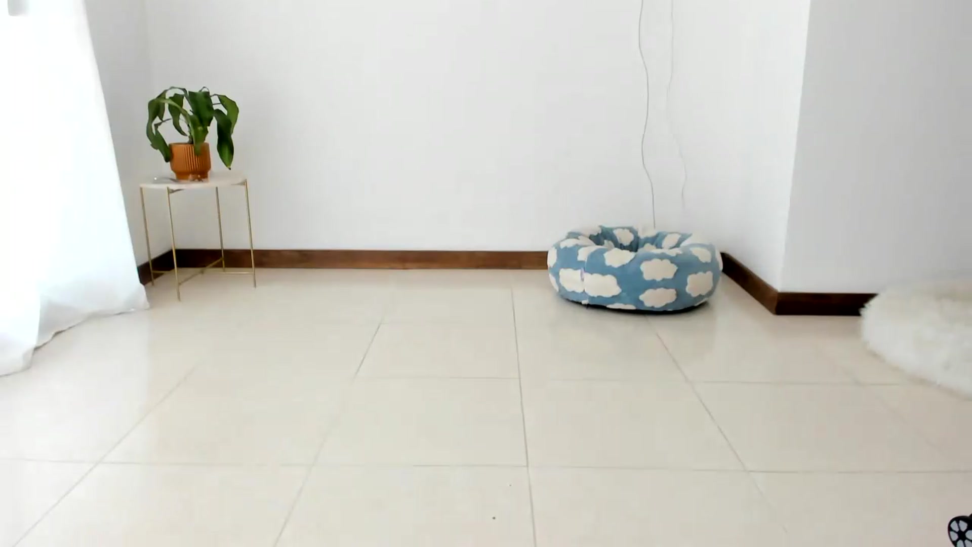 Gallery image thumbnail from TaniaAngel's myfreecams stream on, 07/27/2026, 18:40 image 20 of 20