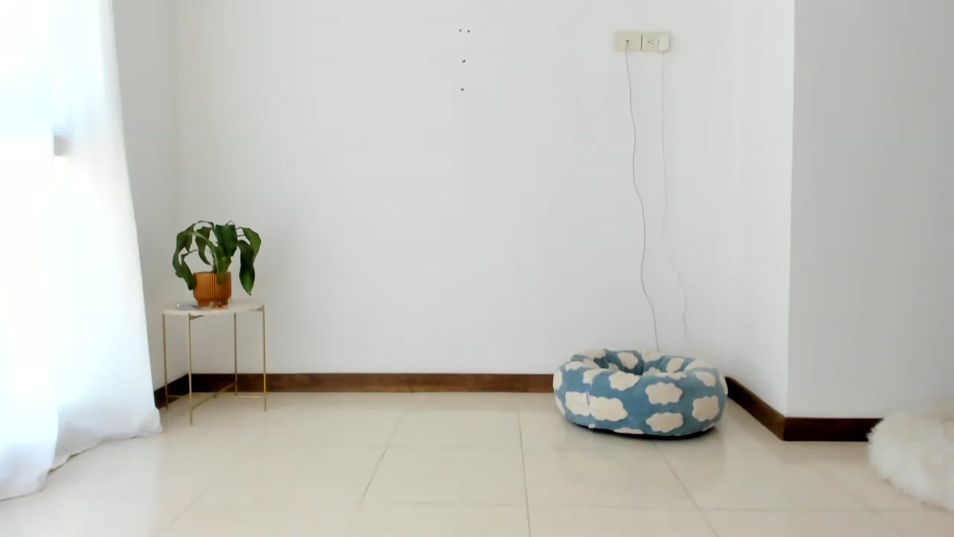Gallery image thumbnail from TaniaAngel's myfreecams stream on, 07/27/2026, 18:40 image 17 of 20
