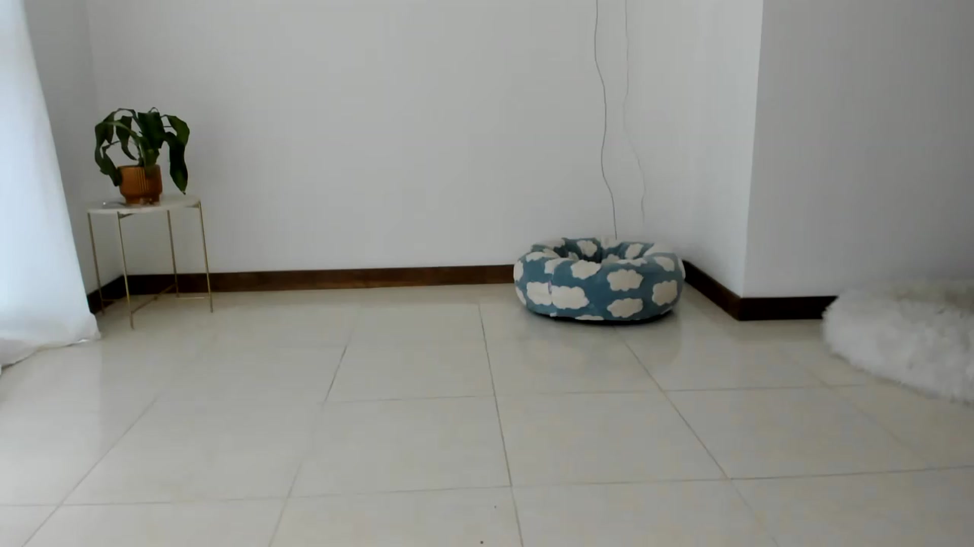Gallery image thumbnail from TaniaAngel's myfreecams stream on, 07/27/2026, 21:37 image 10 of 20