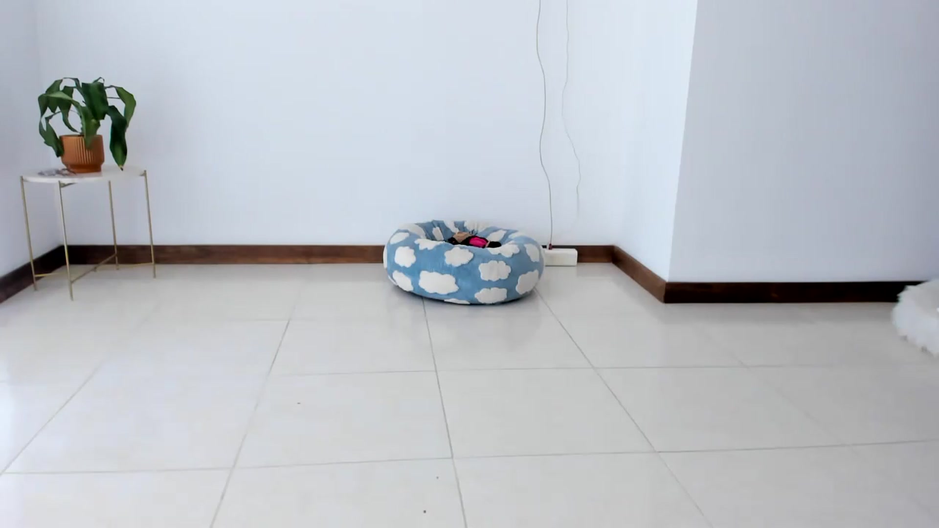 Gallery image thumbnail from TaniaAngel's myfreecams stream on, 07/30/2026, 19:58 image 17 of 20