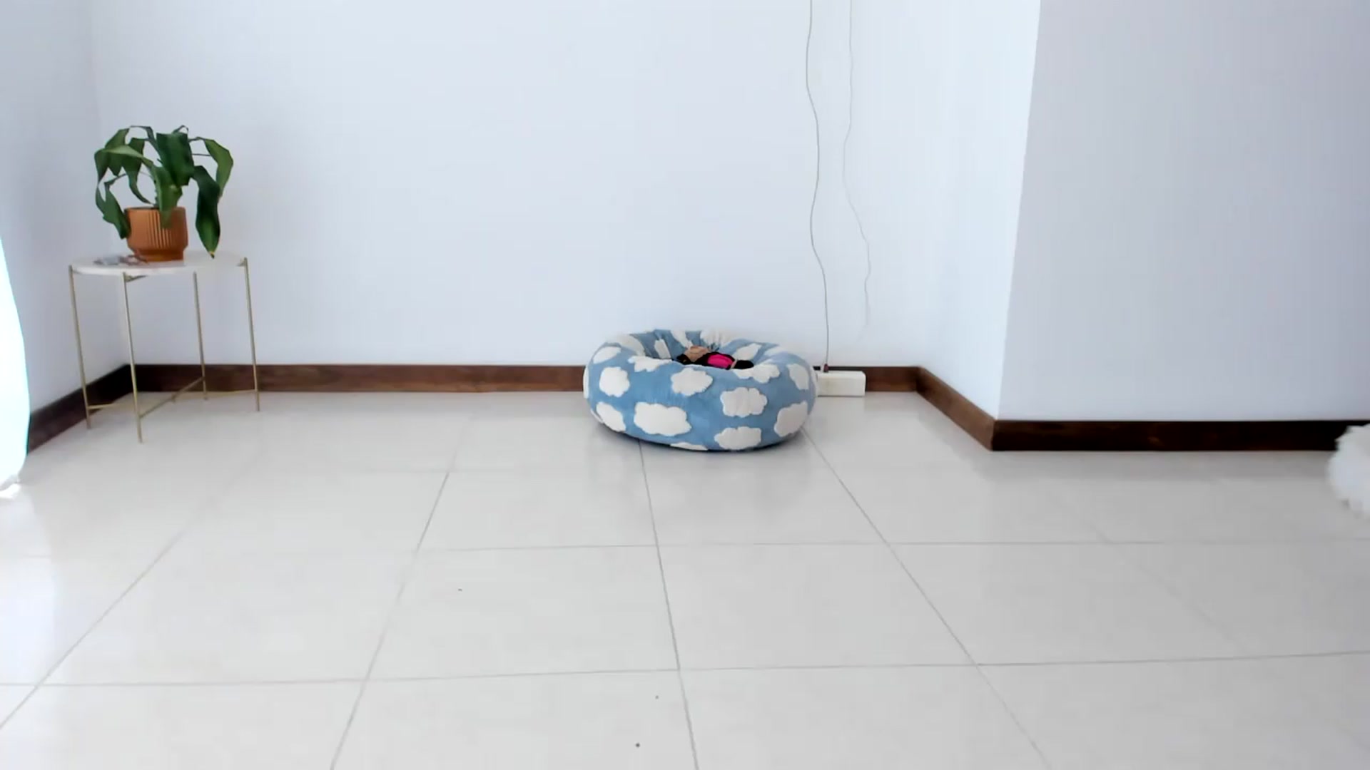 Gallery image thumbnail from TaniaAngel's myfreecams stream on, 07/30/2026, 19:58 image 16 of 20