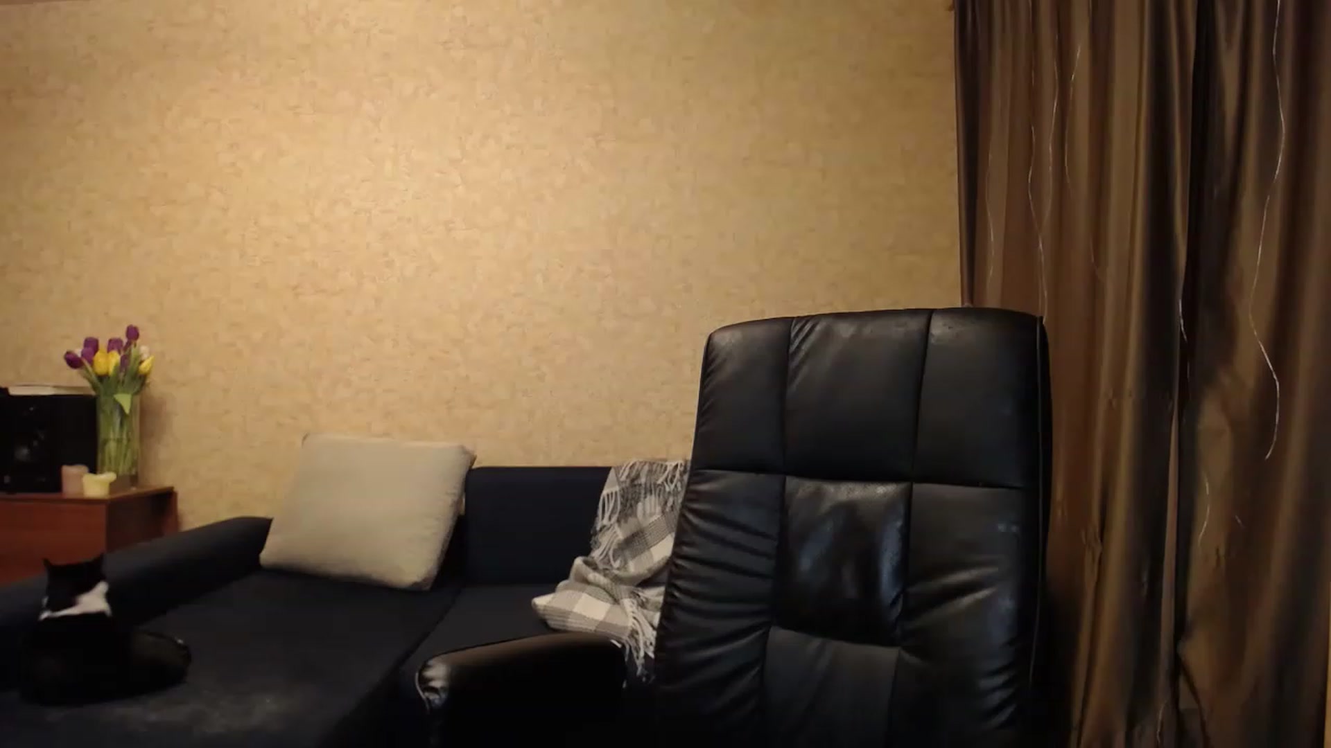 Gallery image thumbnail from Tarot__Reader's myfreecams stream on, 03/12/2023, 02:56 image 16 of 20