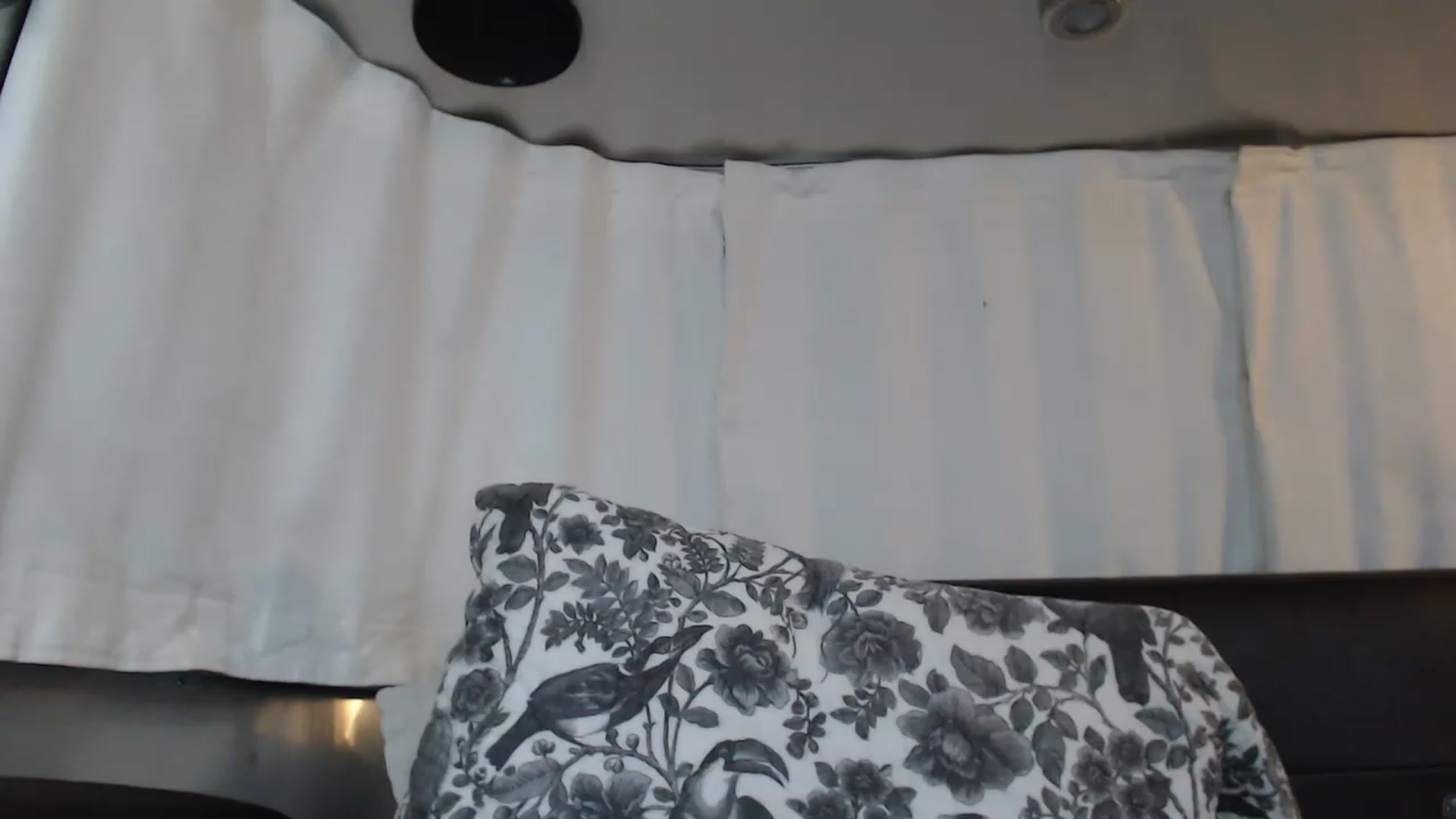 Gallery image thumbnail from Tarra_Rose's myfreecams stream on, 02/05/2023, 08:43 image 15 of 20