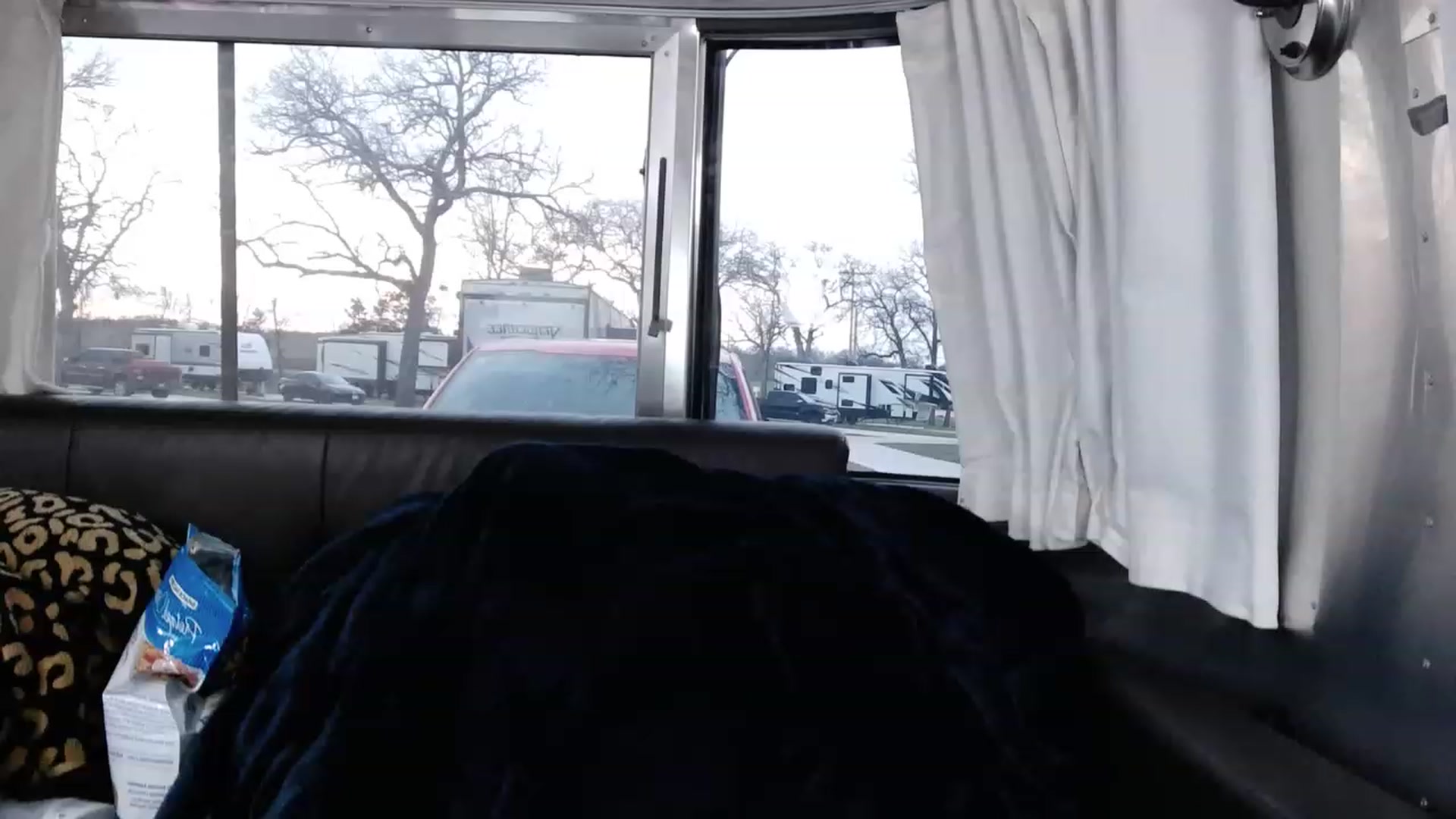 Gallery image thumbnail from Tarra_Rose's myfreecams stream on, 02/13/2023, 24:16 image 14 of 20