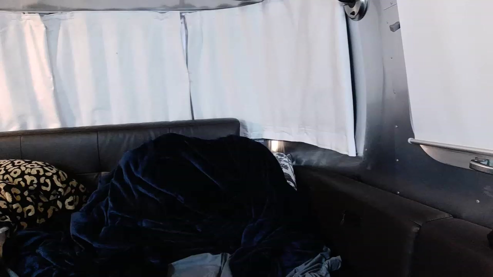 Gallery image thumbnail from Tarra_Rose's myfreecams stream on, 02/13/2023, 02:57 image 15 of 20