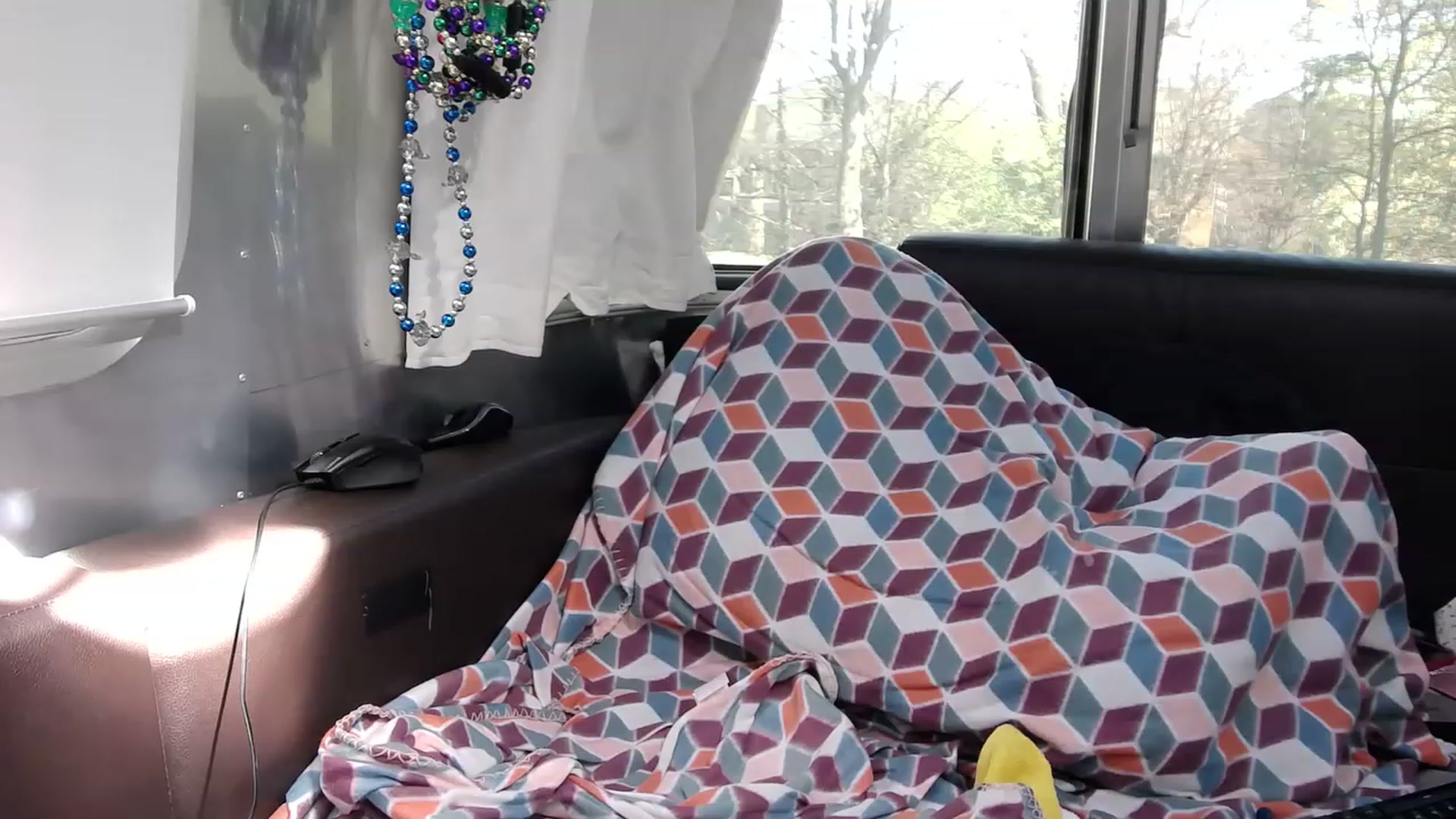 Gallery image thumbnail from Tarra_Rose's myfreecams stream on, 03/05/2023, 19:24 image 14 of 20