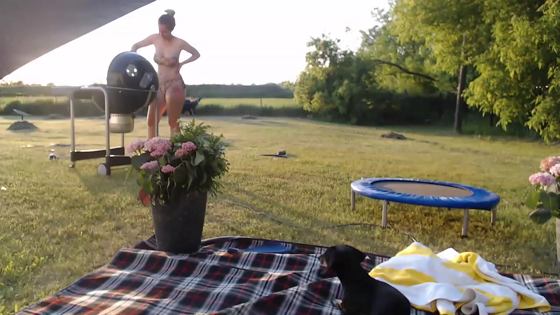 Gallery image thumbnail from Tarra_Rose's myfreecams stream on, 05/29/2023, 24:09 image 20 of 20