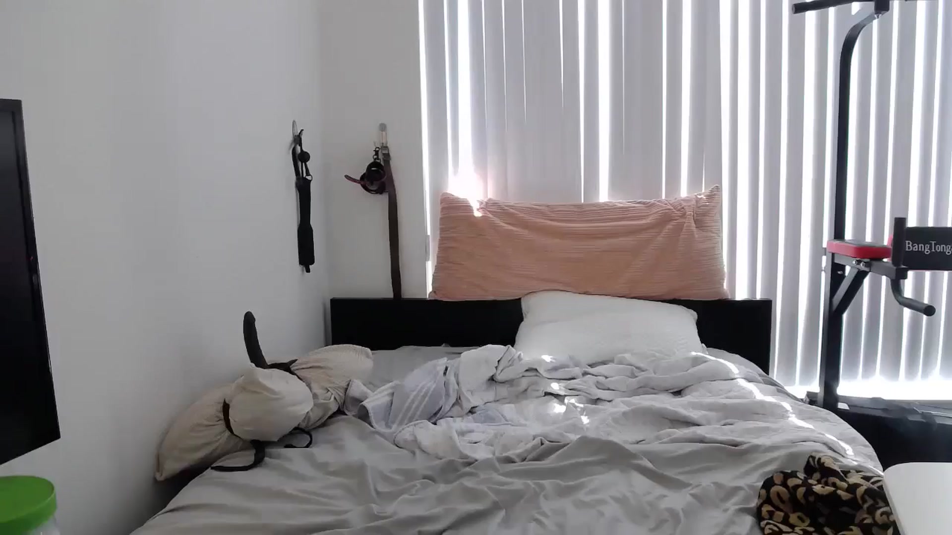 Gallery image thumbnail from Tarra_Rose's myfreecams stream on, 05/19/2024, 19:34 image 13 of 20