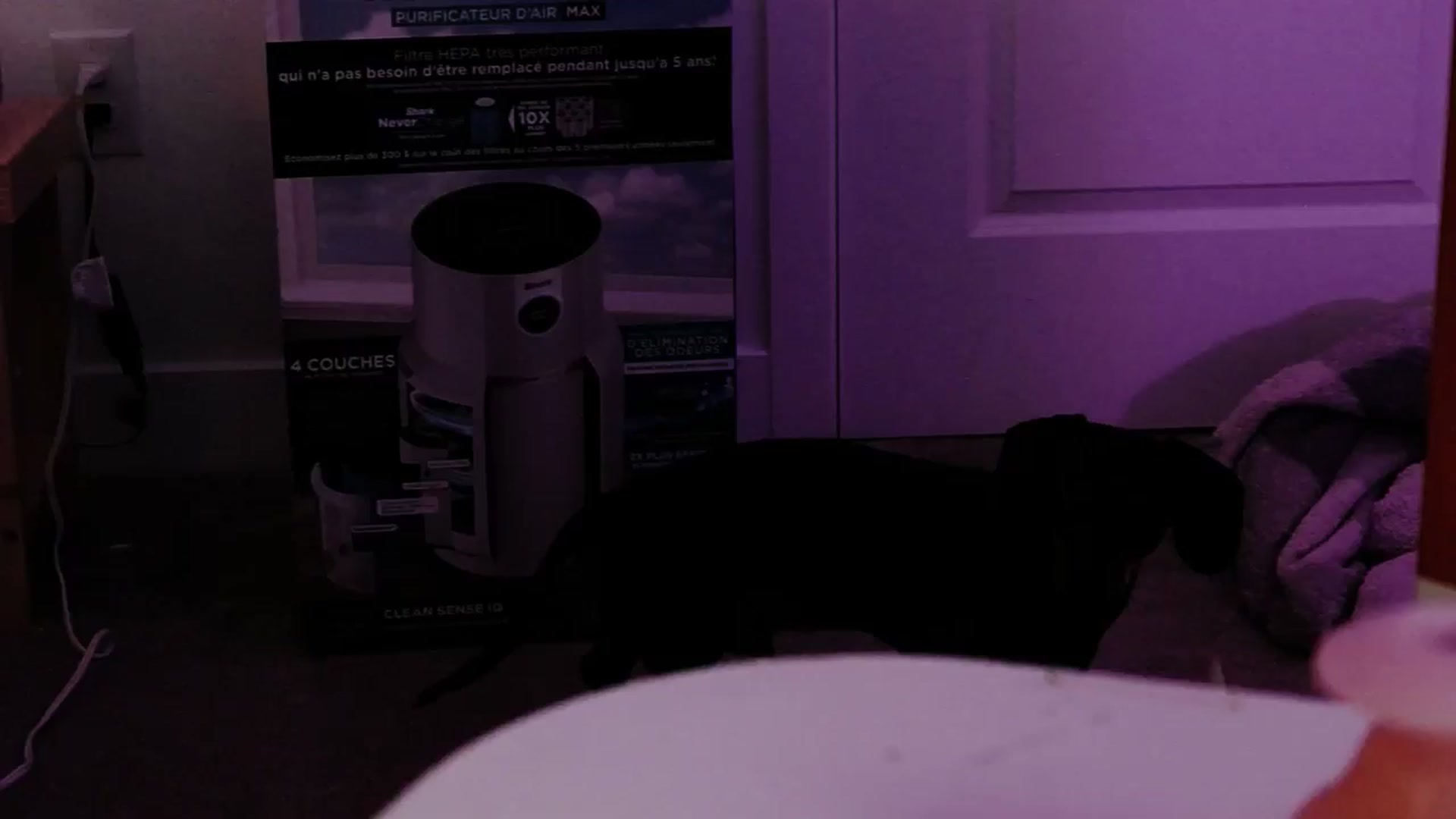 Gallery image thumbnail from Tarra_Rose's myfreecams stream on, 05/21/2025, 08:01 image 1 of 20