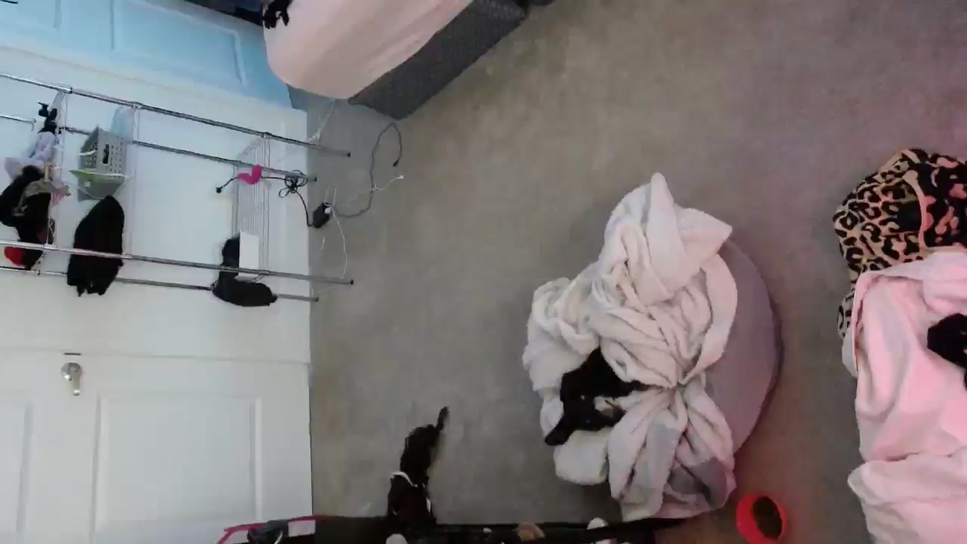 Gallery image thumbnail from Tarra_Rose's myfreecams stream on, 09/07/2025, 06:28 image 19 of 20
