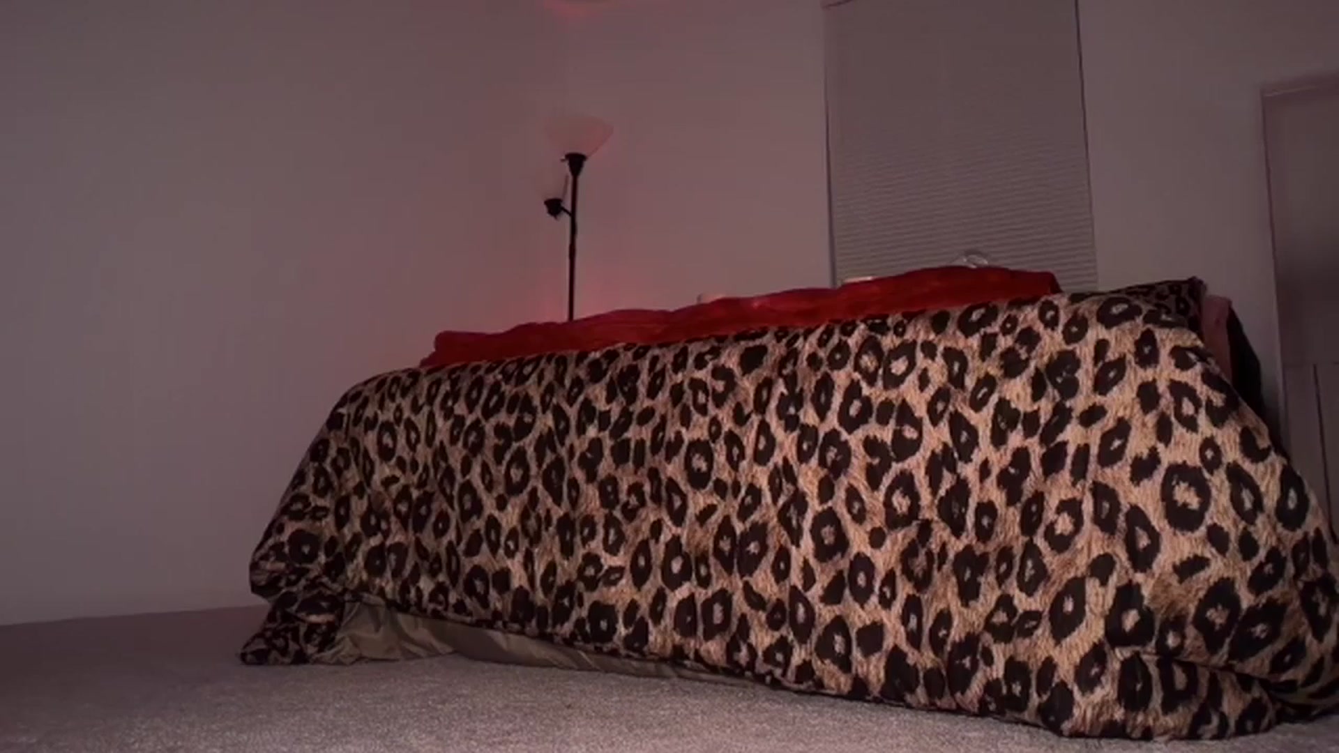 Gallery image thumbnail from Tastybabyx's myfreecams stream on, 12/14/2025, 10:18 image 14 of 20