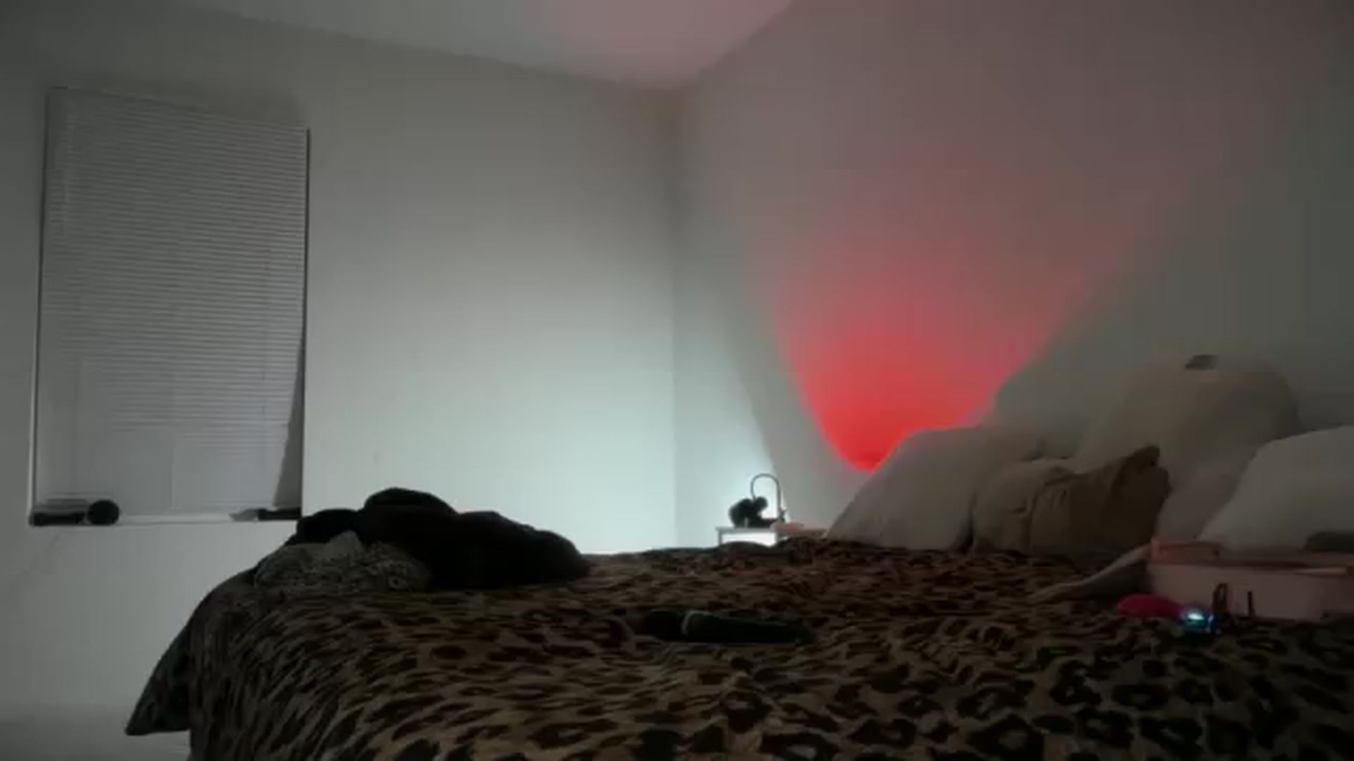Gallery image thumbnail from Tastybabyx's myfreecams stream on, 09/20/2026, 07:56 image 5 of 20