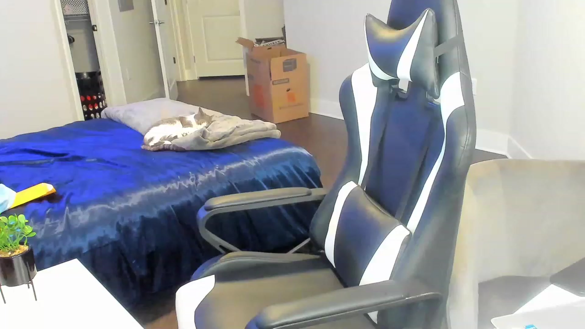 Gallery image thumbnail from Tati_Rae's myfreecams stream on, 12/06/2022, 18:44 image 20 of 20