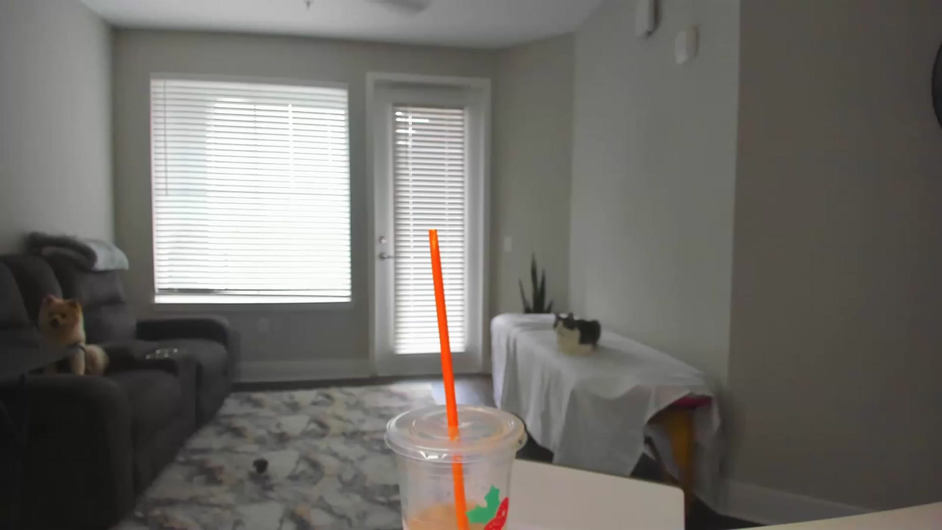 Gallery image thumbnail from Tati_Rae's myfreecams stream on, 01/13/2023, 18:58 image 1 of 20