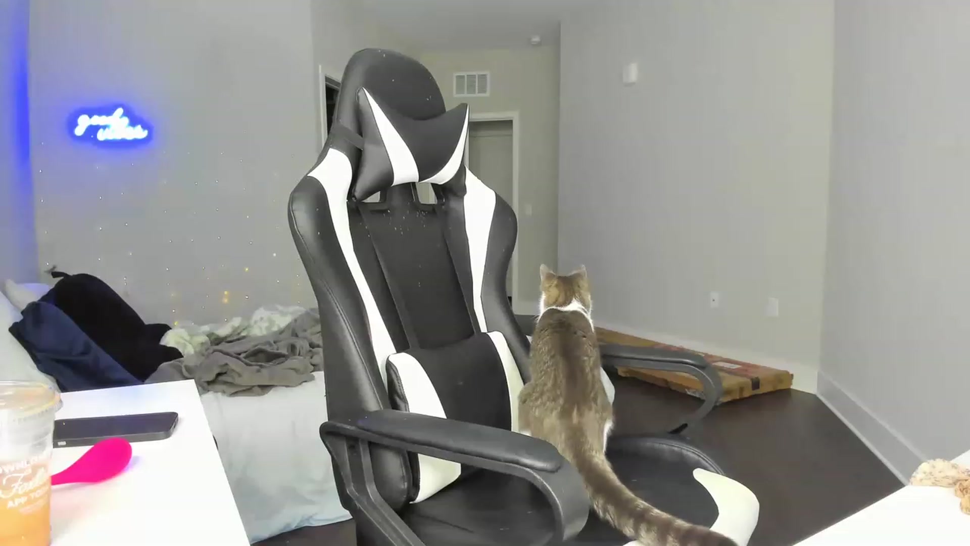 Gallery image thumbnail from Tati_Rae's myfreecams stream on, 02/01/2023, 18:10 image 13 of 20