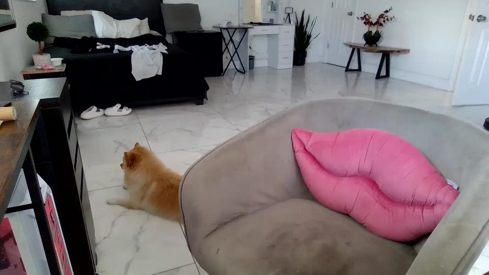 Gallery image thumbnail from Tati_Rae's myfreecams stream on, 08/28/2024, 16:04 image 18 of 20