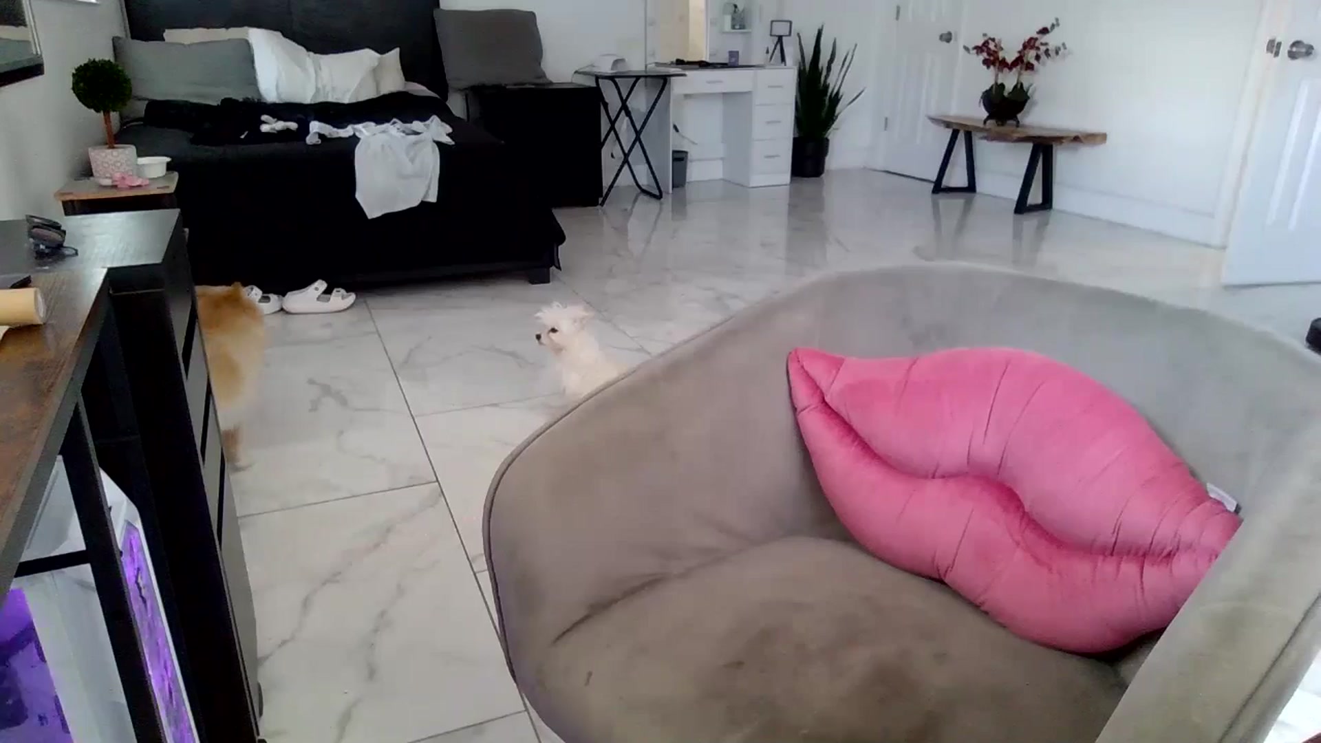 Gallery image thumbnail from Tati_Rae's myfreecams stream on, 08/28/2024, 16:04 image 20 of 20