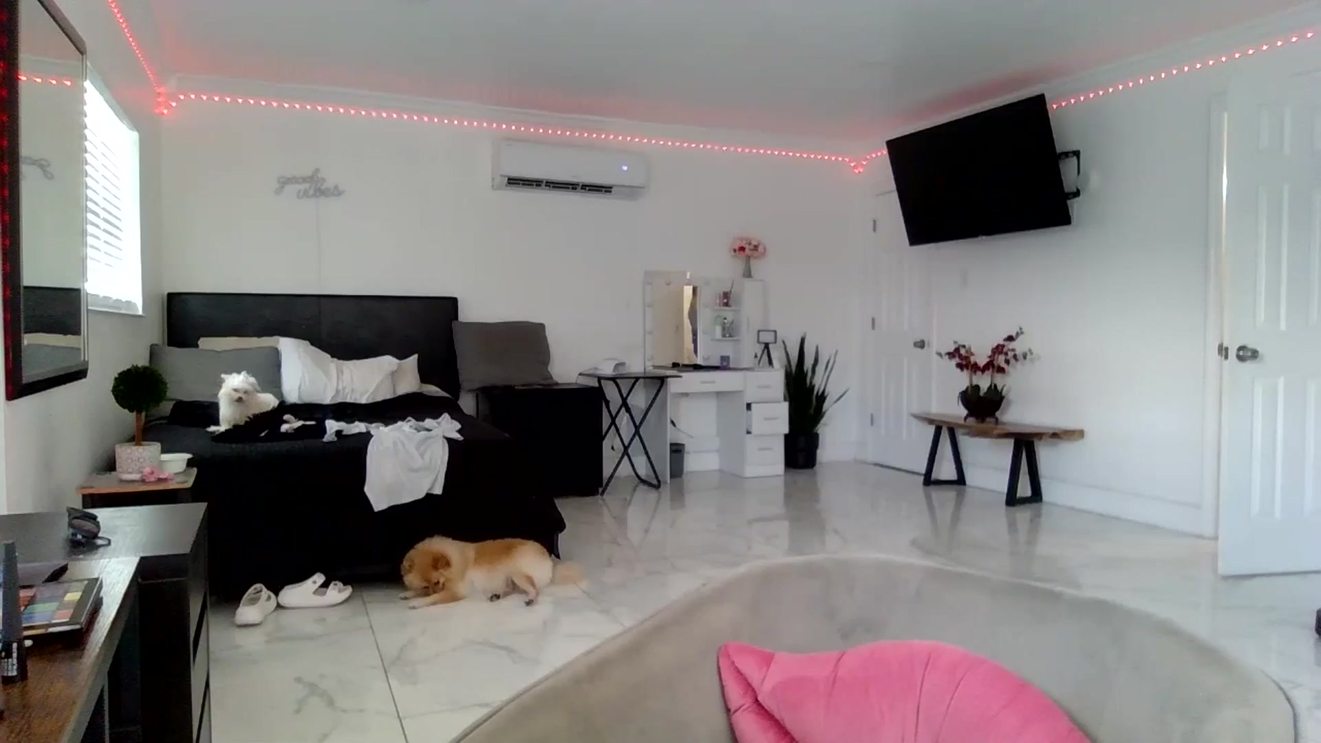 Gallery image thumbnail from Tati_Rae's myfreecams stream on, 08/28/2024, 16:04 image 14 of 20