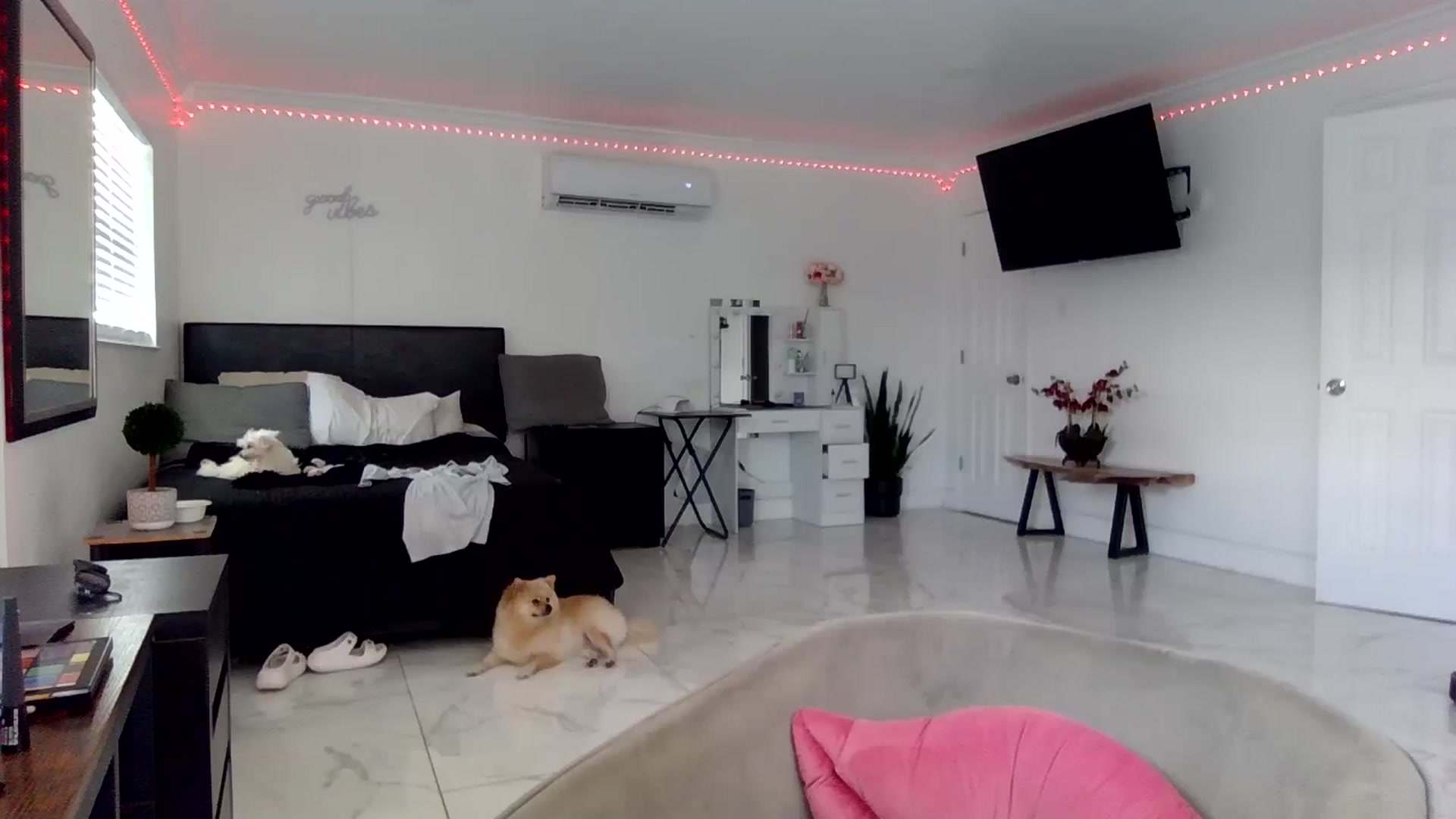 Gallery image thumbnail from Tati_Rae's myfreecams stream on, 08/28/2024, 16:04 image 12 of 20