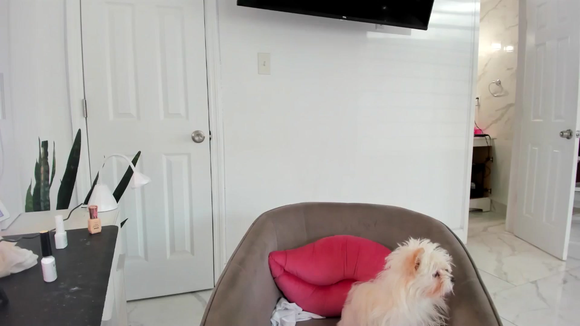 Gallery image thumbnail from Tati_Rae's myfreecams stream on, 09/06/2024, 14:56 image 18 of 20