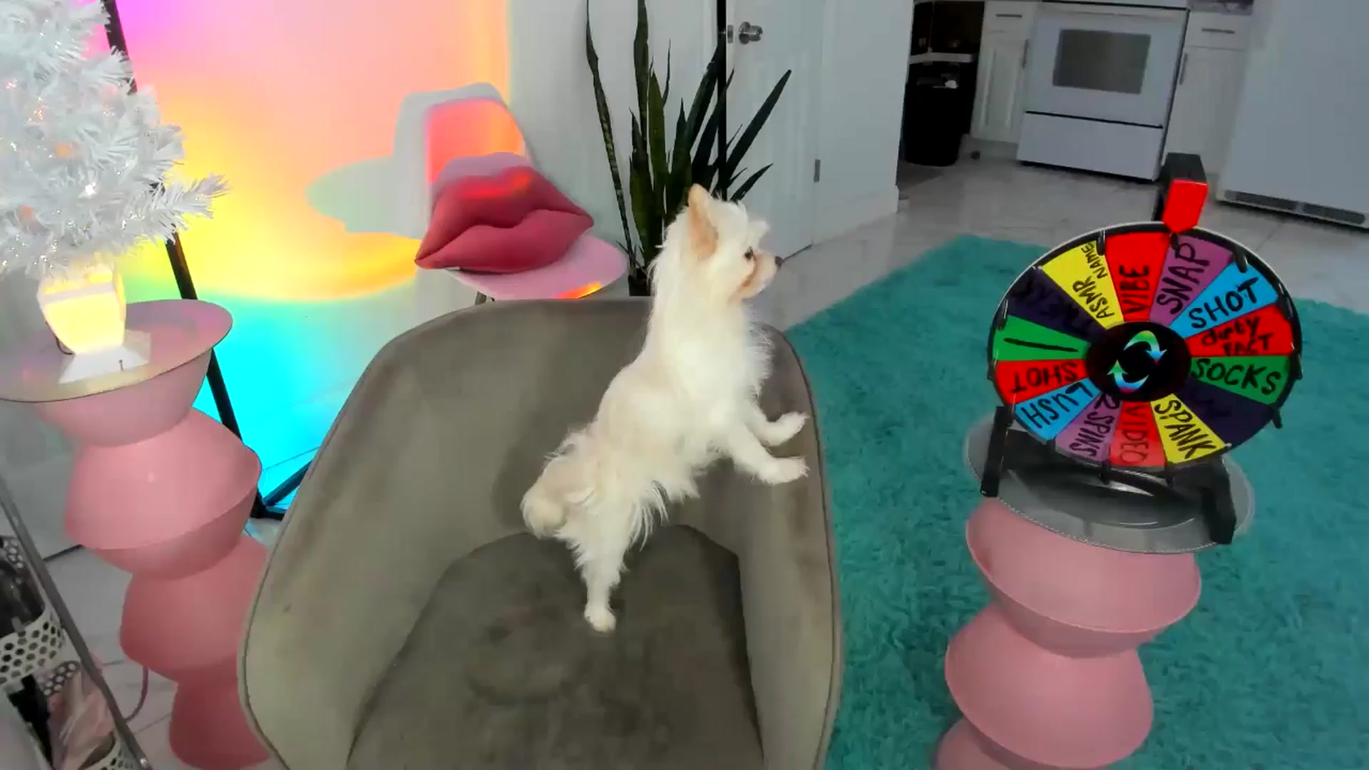 Gallery image thumbnail from Tati_Rae's myfreecams stream on, 01/04/2025, 17:44 image 19 of 20
