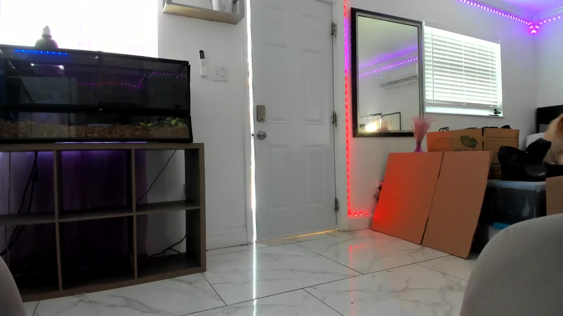 Gallery image thumbnail from Tati_Rae's myfreecams stream on, 01/09/2025, 18:45 image 4 of 20