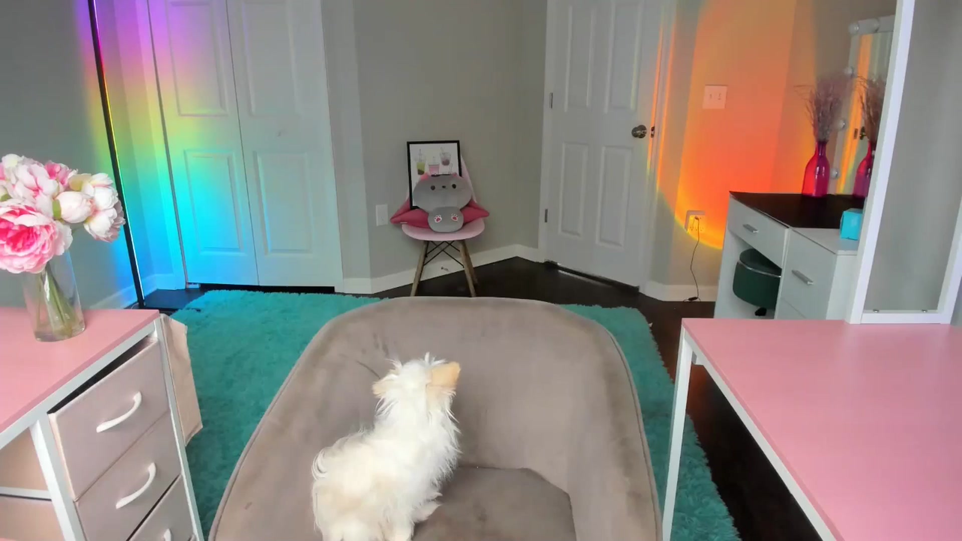 Gallery image thumbnail from Tati_Rae's myfreecams stream on, 01/17/2025, 19:25 image 11 of 20