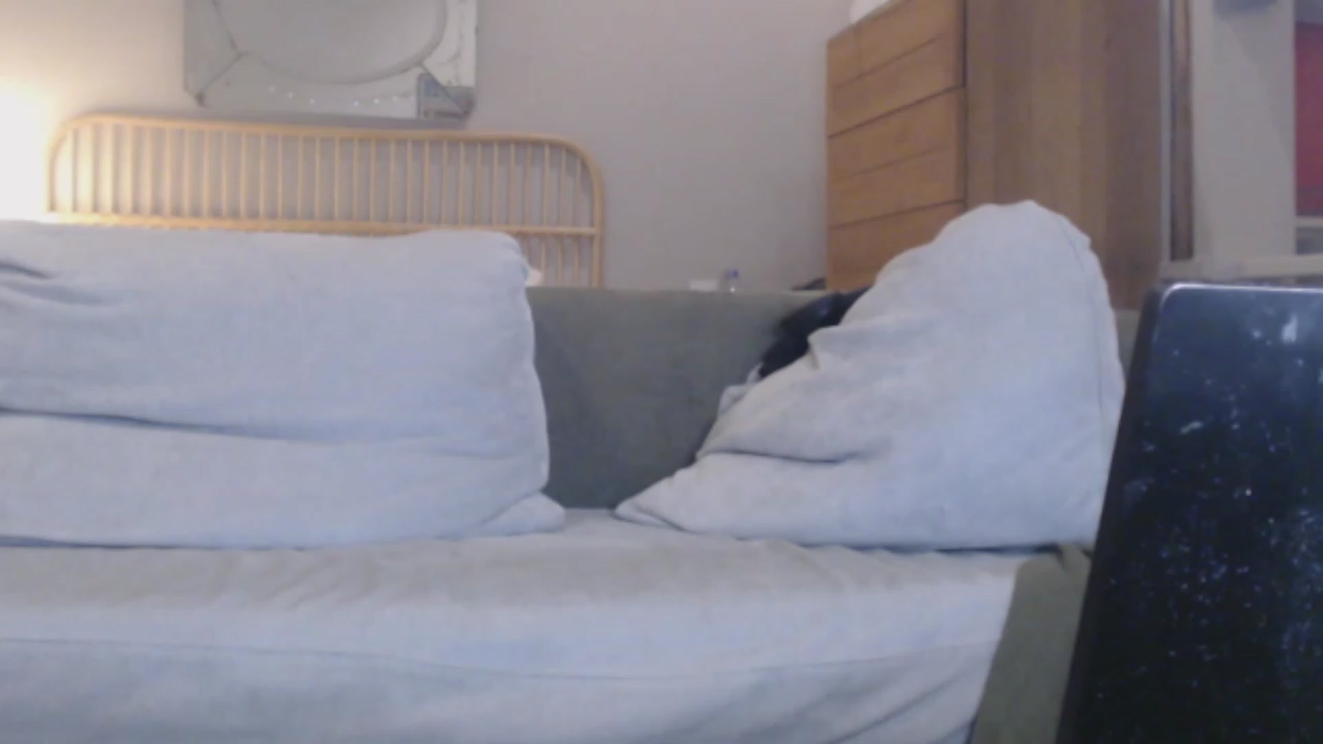 Gallery image thumbnail from Tattoo_bbgirl's myfreecams stream on, 12/04/2023, 22:10 image 4 of 20