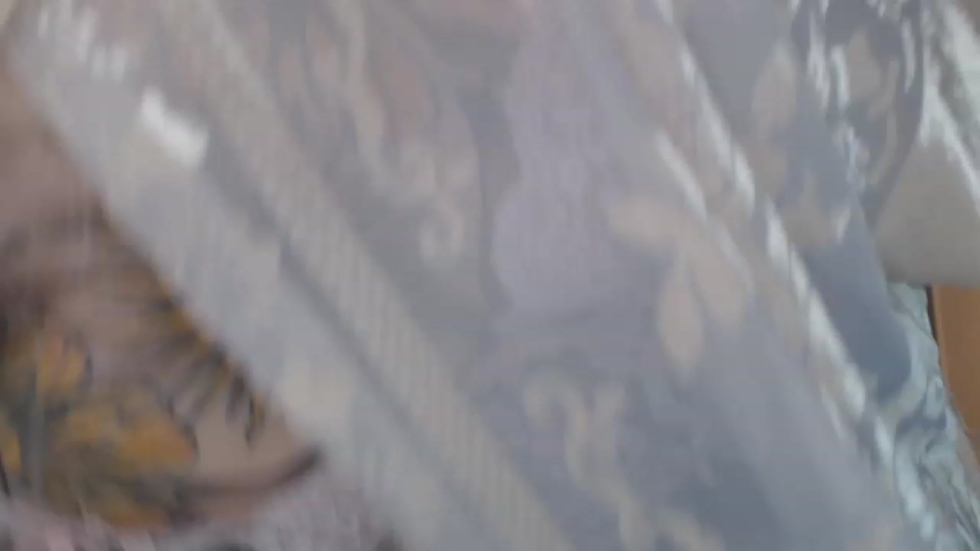 Gallery image thumbnail from Tattoo_bbgirl's myfreecams stream on, 02/14/2024, 19:24 image 3 of 20