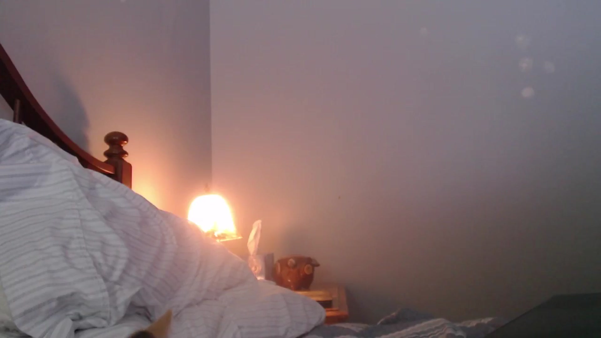 Gallery image thumbnail from Tattoo_bbgirl's myfreecams stream on, 01/05/2026, 22:03 image 15 of 20