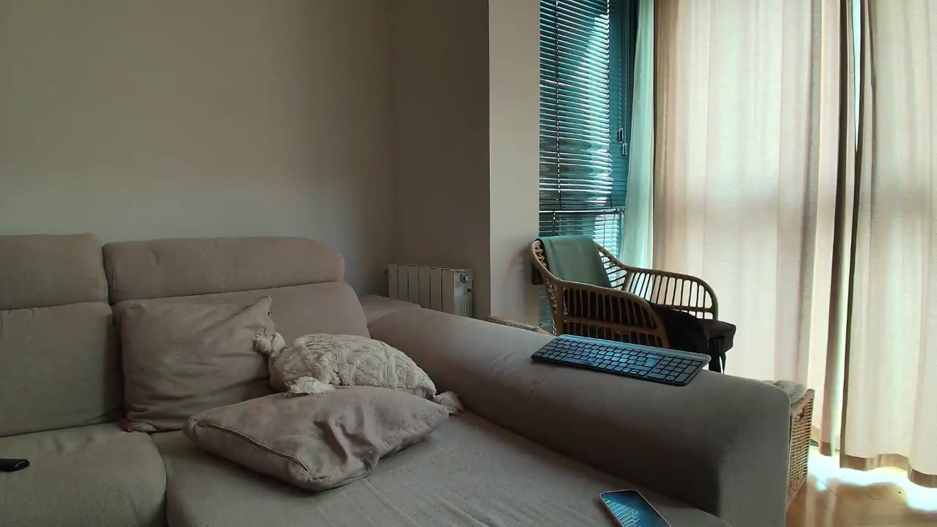 Gallery image thumbnail from Tattoo_bbgirl's myfreecams stream on, 06/01/2026, 19:14 image 15 of 20