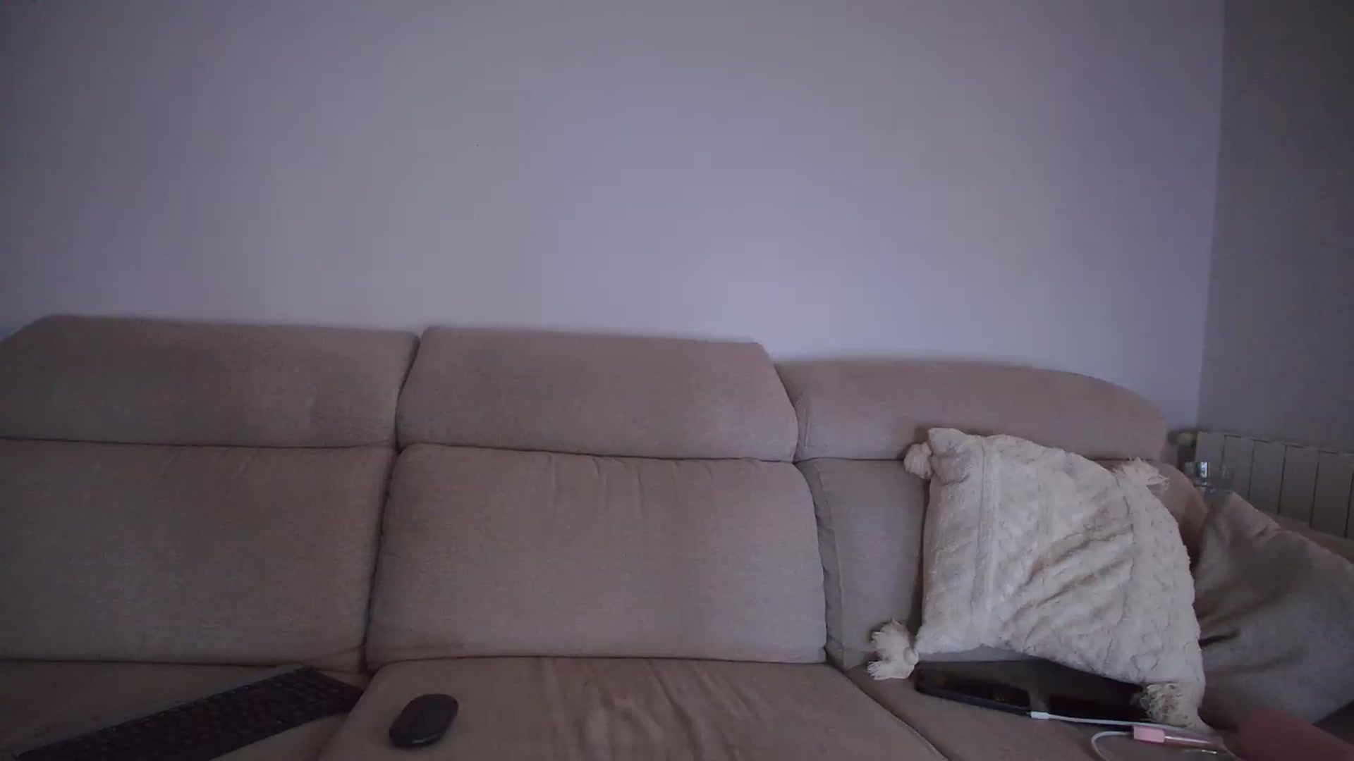 Gallery image thumbnail from Tattoo_bbgirl's myfreecams stream on, 07/08/2026, 21:41 image 7 of 20