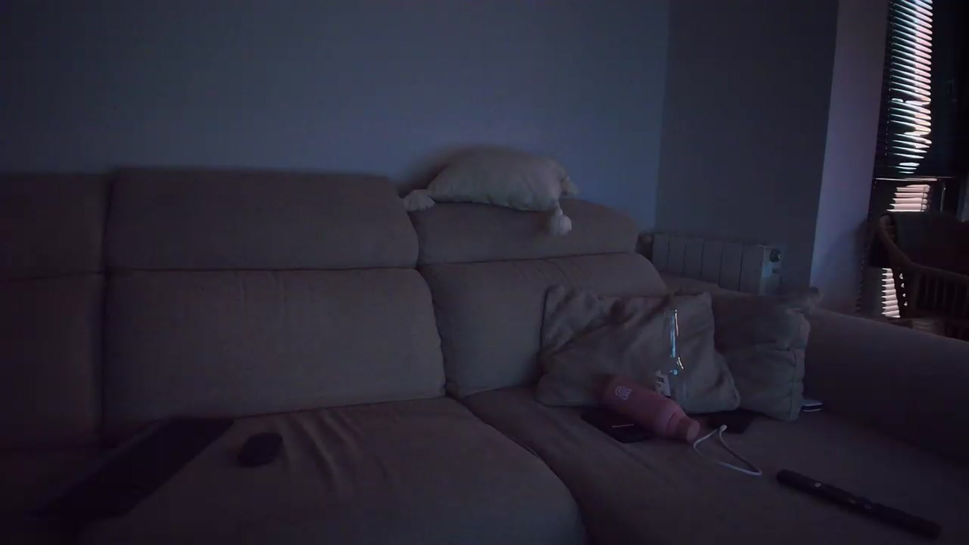 Gallery image thumbnail from Tattoo_bbgirl's myfreecams stream on, 07/18/2026, 20:10 image 20 of 20