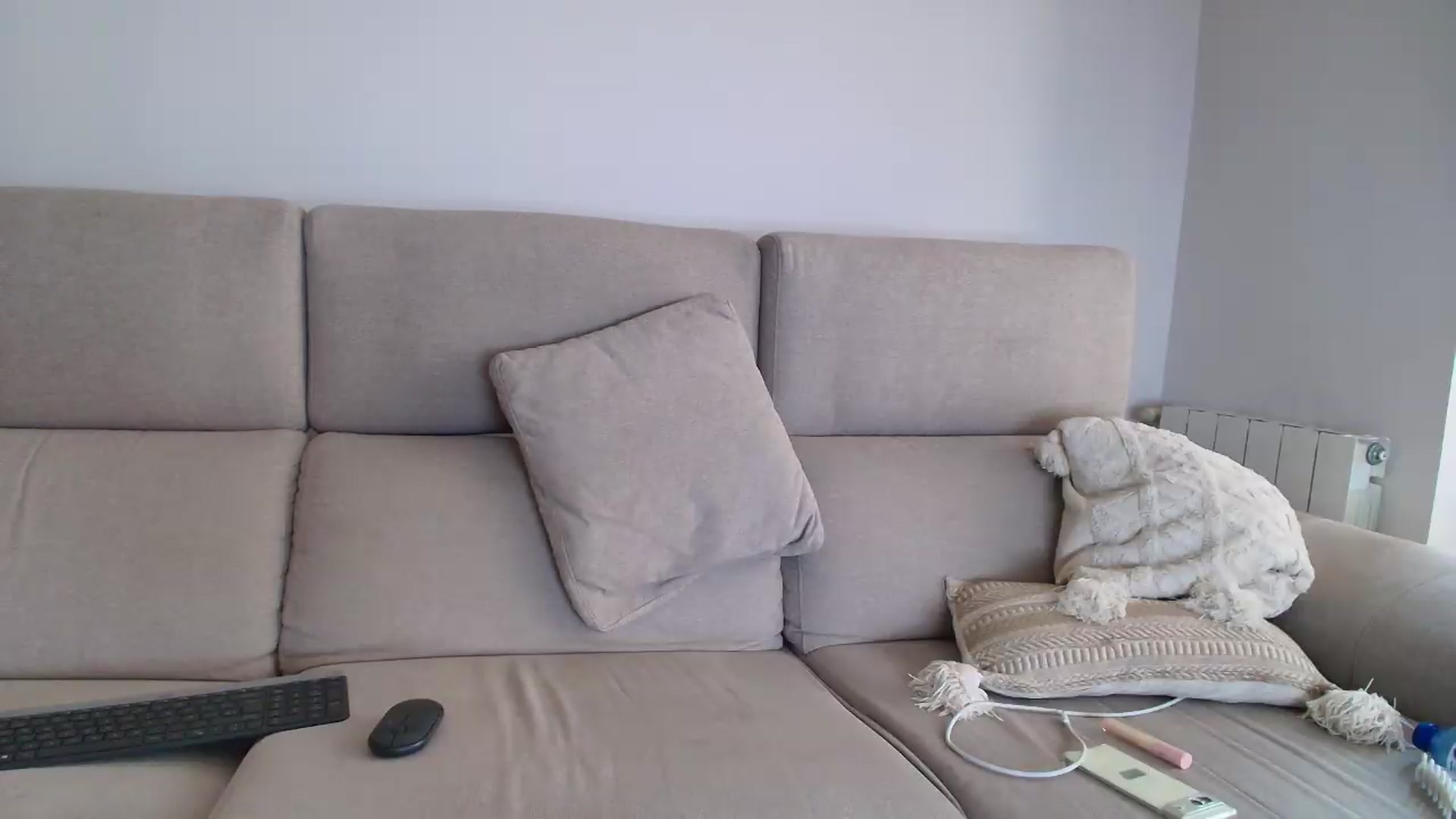 Gallery image thumbnail from Tattoo_bbgirl's myfreecams stream on, 08/31/2026, 17:52 image 18 of 20