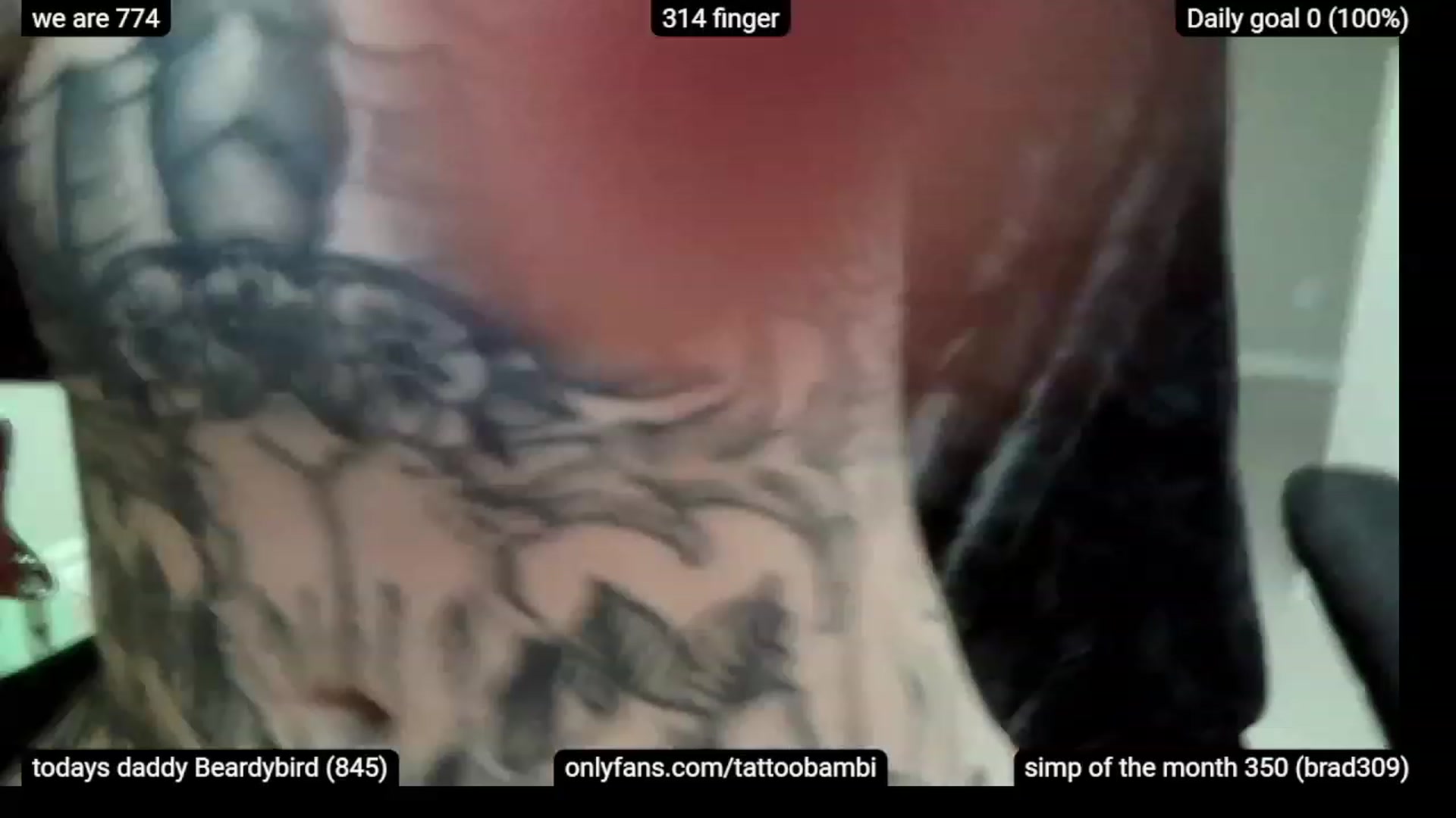 Gallery image thumbnail from Tattoobambi's myfreecams stream on, 12/02/2022, 06:33 image 5 of 20