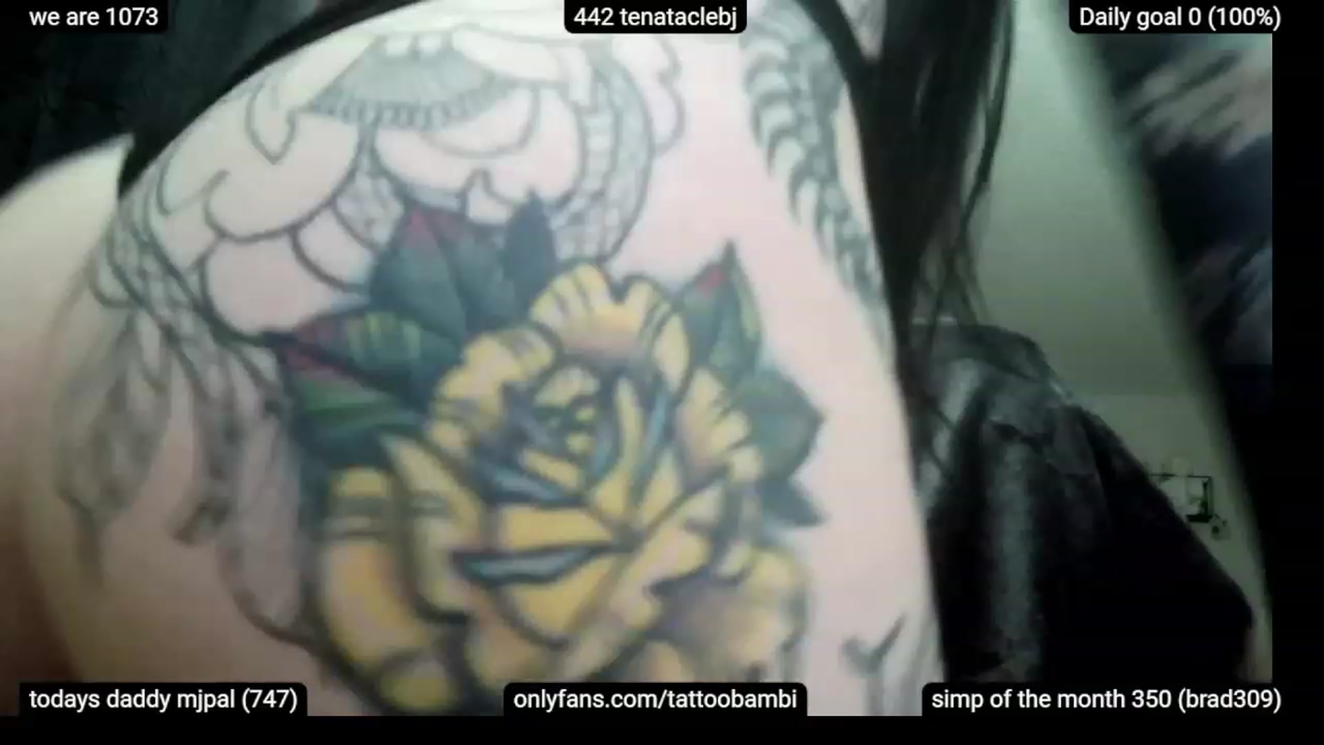 Gallery image thumbnail from Tattoobambi's myfreecams stream on, 12/04/2022, 03:10 image 5 of 20