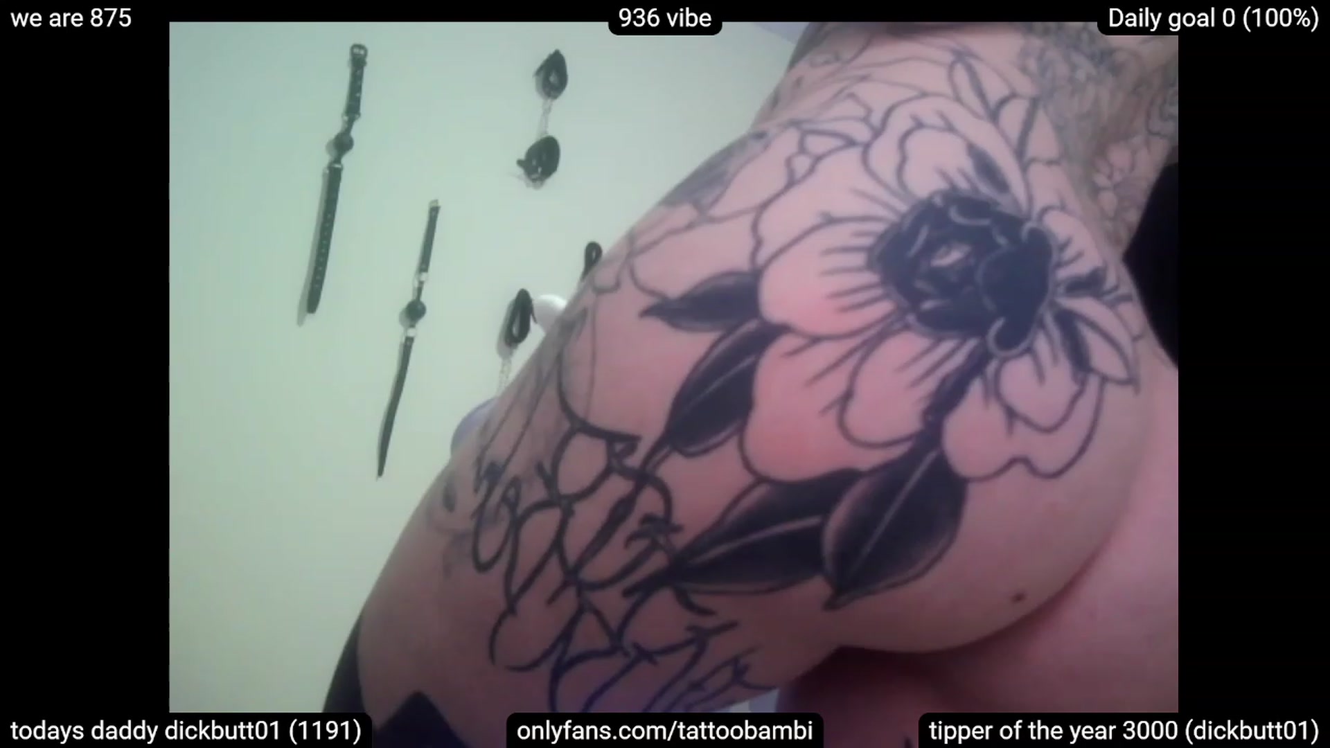 Gallery image thumbnail from Tattoobambi's myfreecams stream on, 04/04/2023, 05:13 image 17 of 20