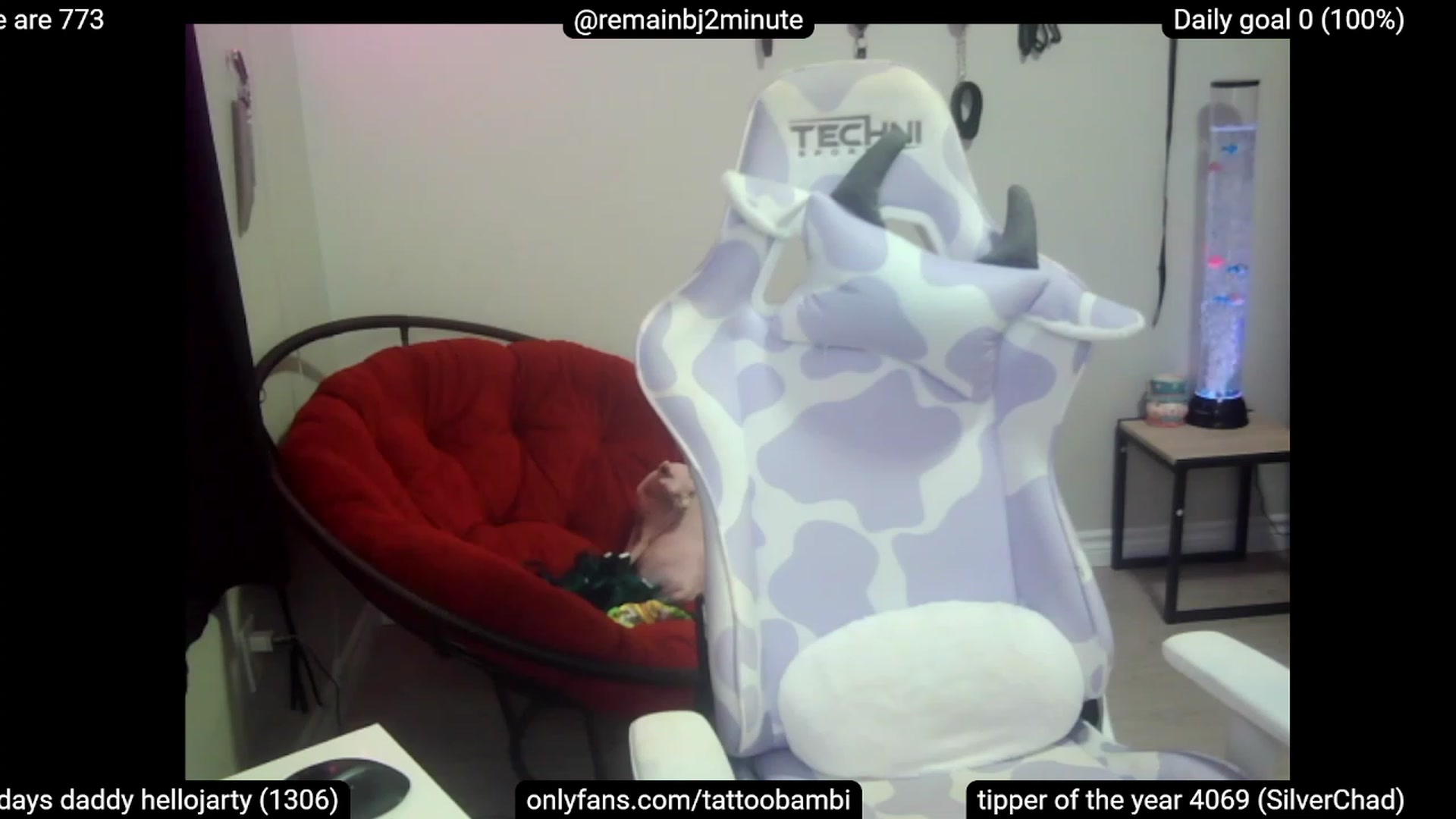 Gallery image thumbnail from Tattoobambi's myfreecams stream on, 04/27/2023, 05:36 image 9 of 20