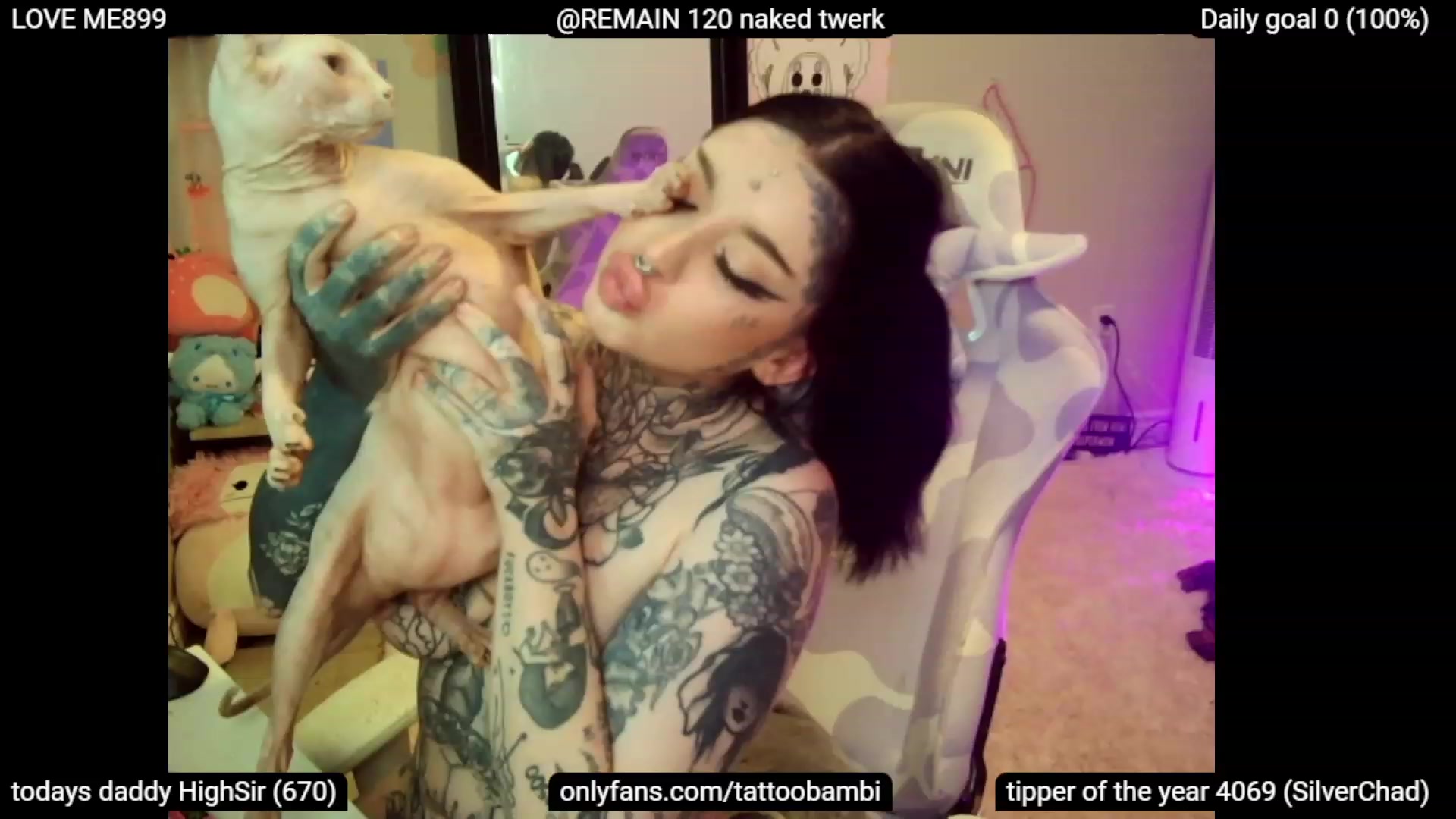 Gallery image thumbnail from Tattoobambi's myfreecams stream on, 07/04/2023, 03:33 image 12 of 20