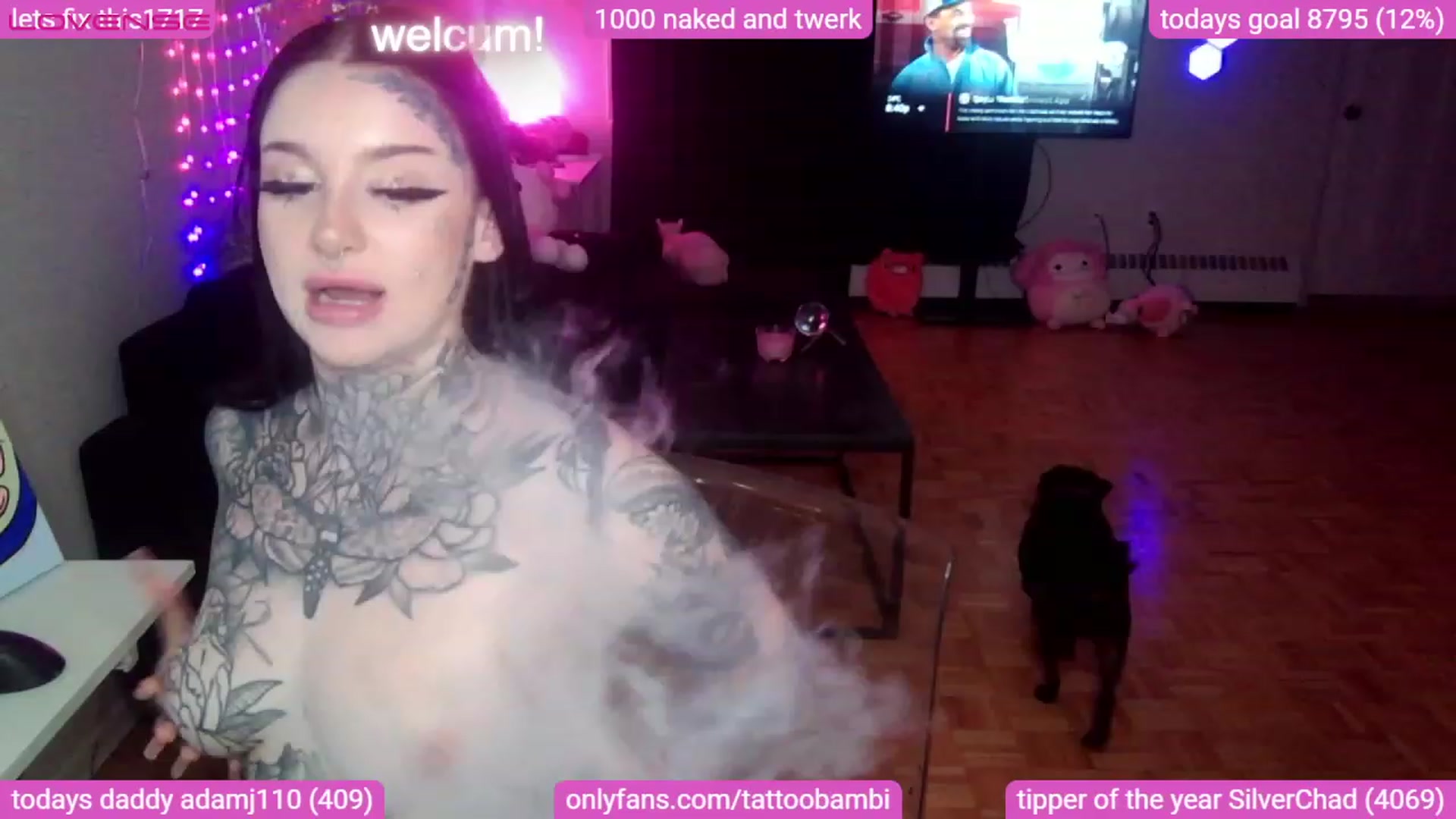 Gallery image thumbnail from Tattoobambi's myfreecams stream on, 08/26/2023, 01:32 image 13 of 20