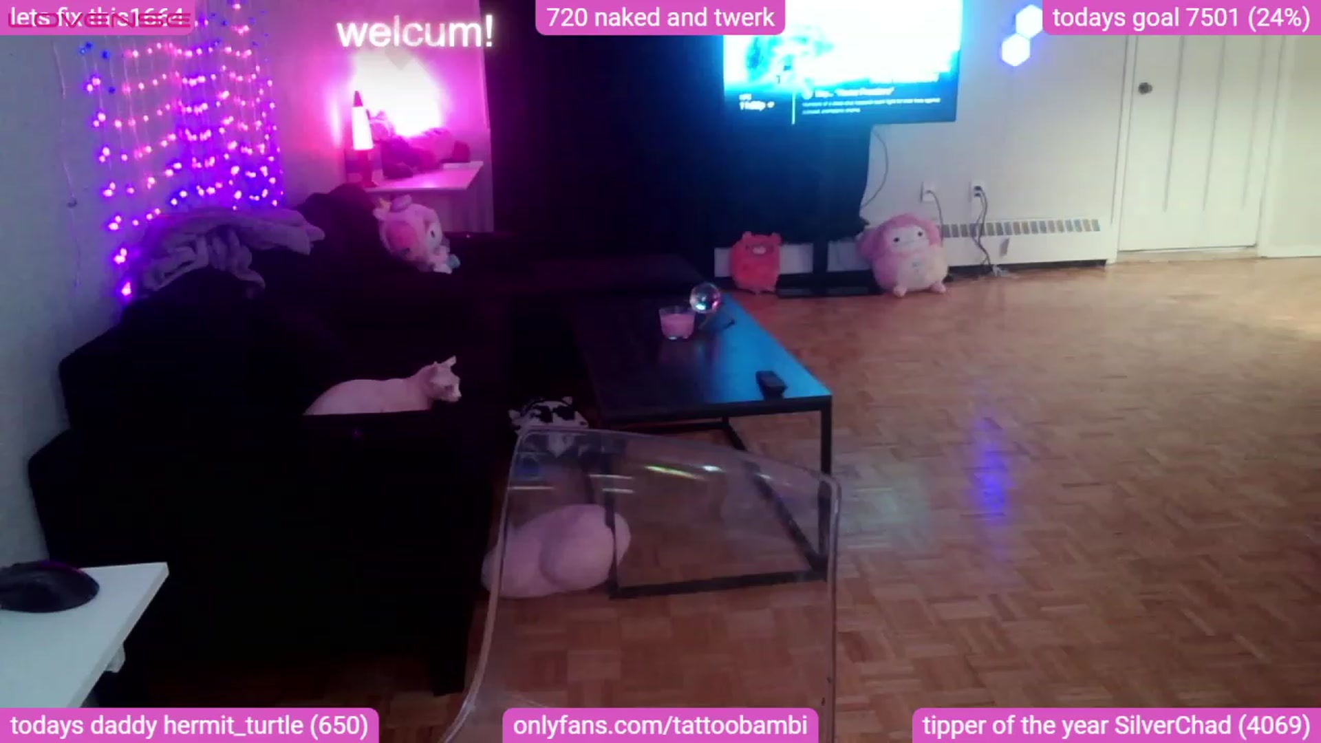 Gallery image thumbnail from Tattoobambi's myfreecams stream on, 08/26/2023, 04:20 image 5 of 20