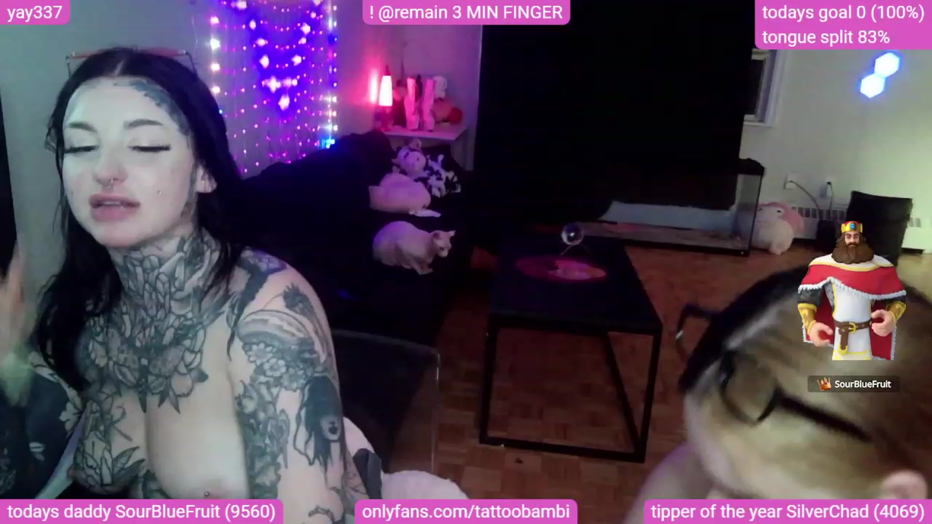 Gallery image thumbnail from Tattoobambi's myfreecams stream on, 09/10/2023, 09:41 image 16 of 20