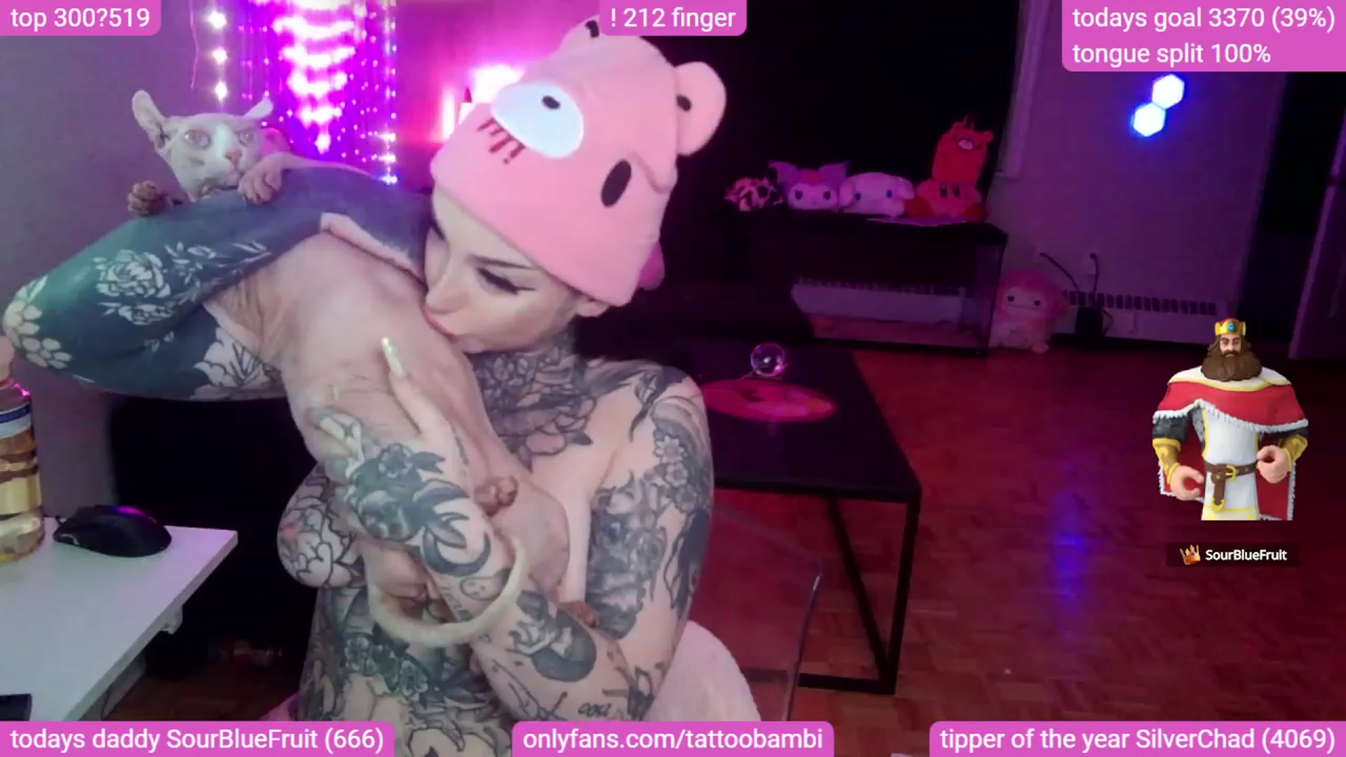 Gallery image thumbnail from Tattoobambi's myfreecams stream on, 09/15/2023, 05:01 image 13 of 20