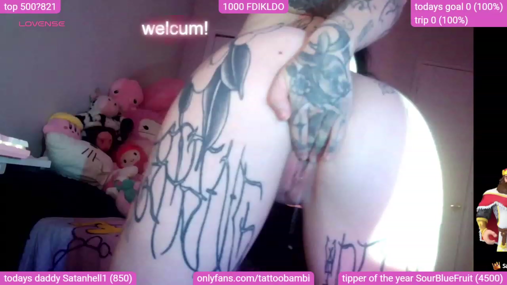 Gallery image thumbnail from Tattoobambi's myfreecams stream on, 11/02/2023, 03:26 image 16 of 20