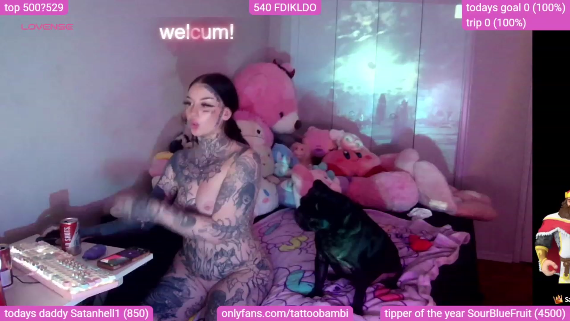 Gallery image thumbnail from Tattoobambi's myfreecams stream on, 11/02/2023, 04:15 image 5 of 20