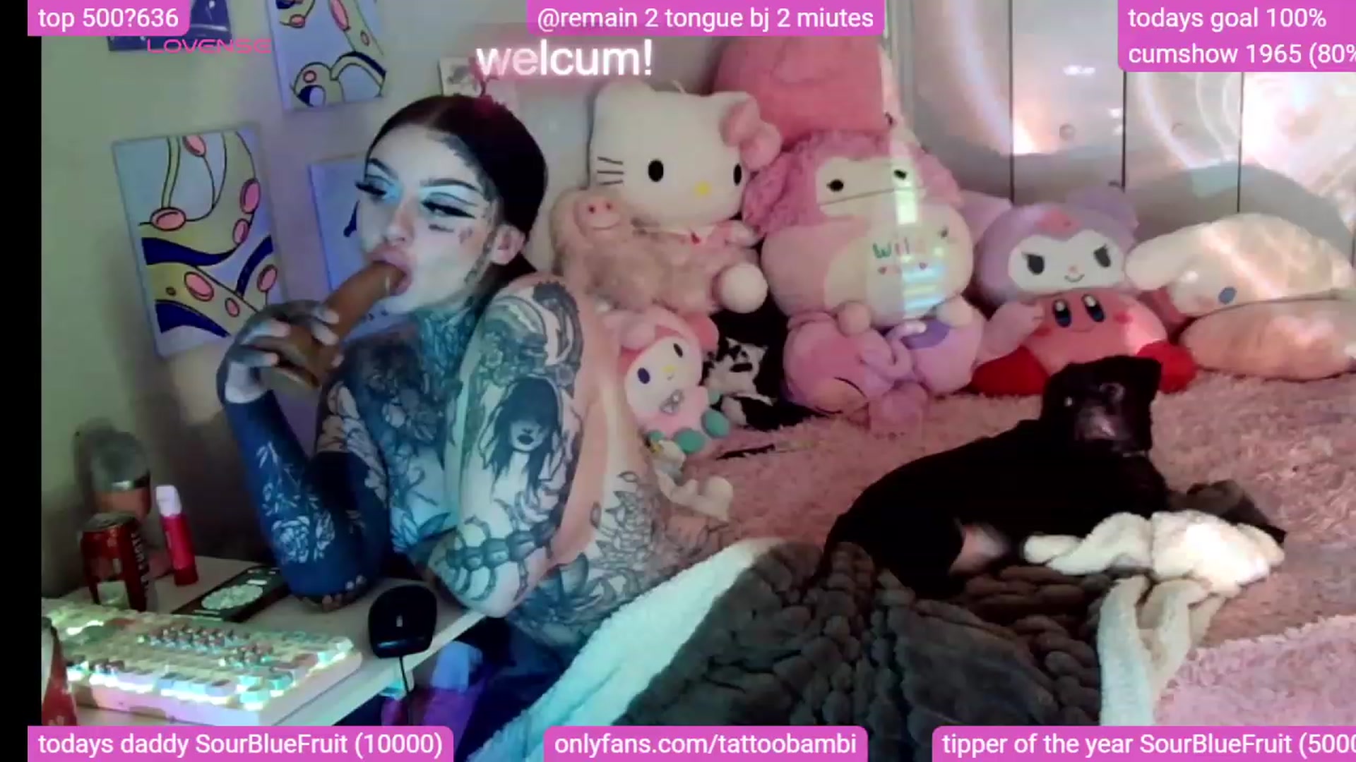 Gallery image thumbnail from Tattoobambi's myfreecams stream on, 11/26/2023, 04:23 image 12 of 20