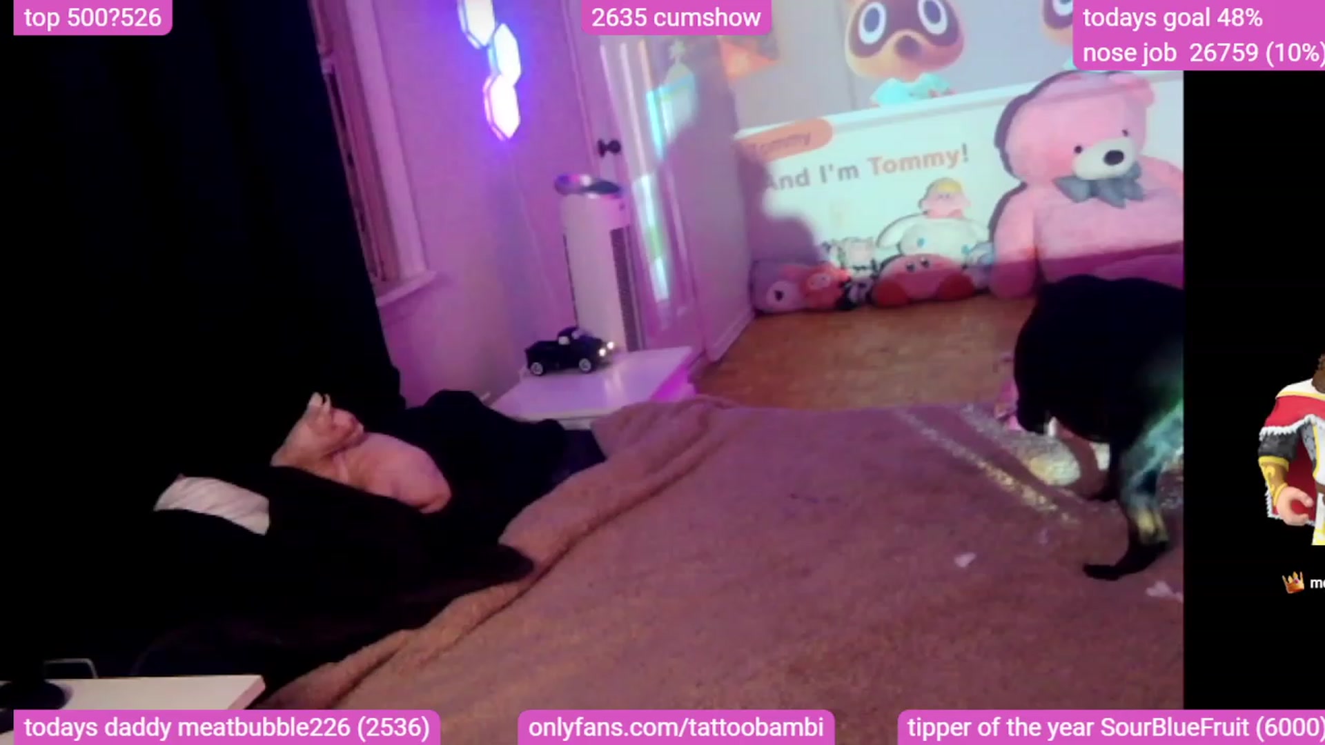 Gallery image thumbnail from Tattoobambi's myfreecams stream on, 12/08/2023, 05:45 image 11 of 20