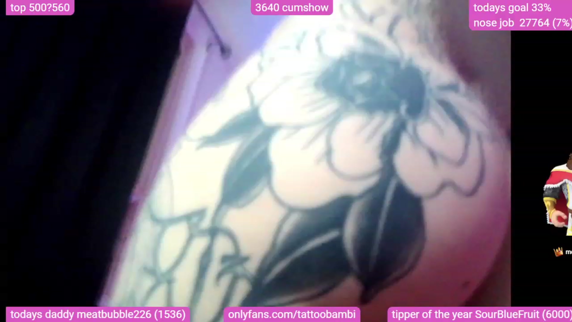 Gallery image thumbnail from Tattoobambi's myfreecams stream on, 12/08/2023, 05:45 image 7 of 20