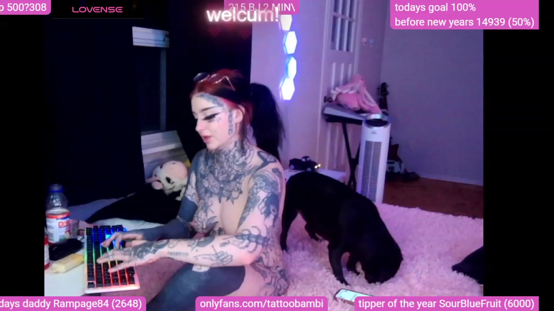 Gallery image thumbnail from Tattoobambi's myfreecams stream on, 12/16/2023, 24:54 image 12 of 20